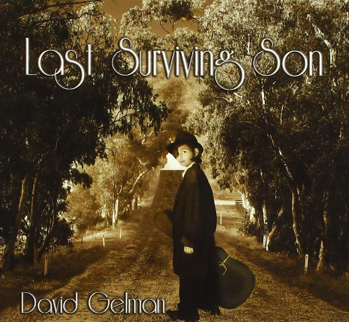 Last Surviving Son [Audio CD] David Gelman by null