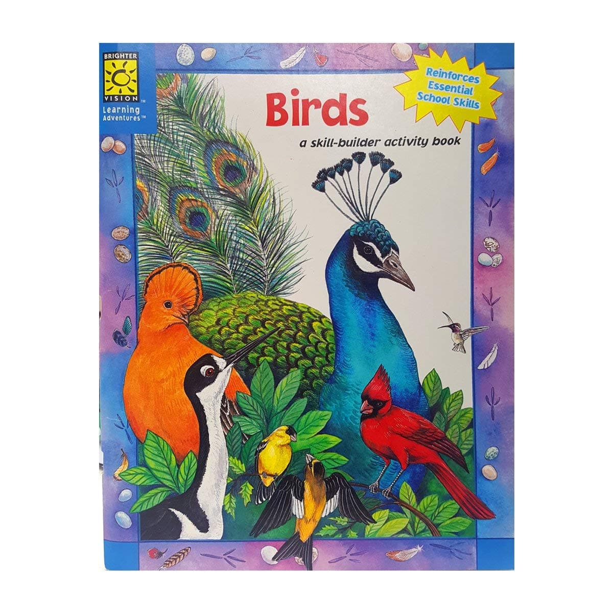 Birds, a Skill Builder Activity Book (Brighter Vision Learning Adventures) [Paperback] Catherine Hernandez by null