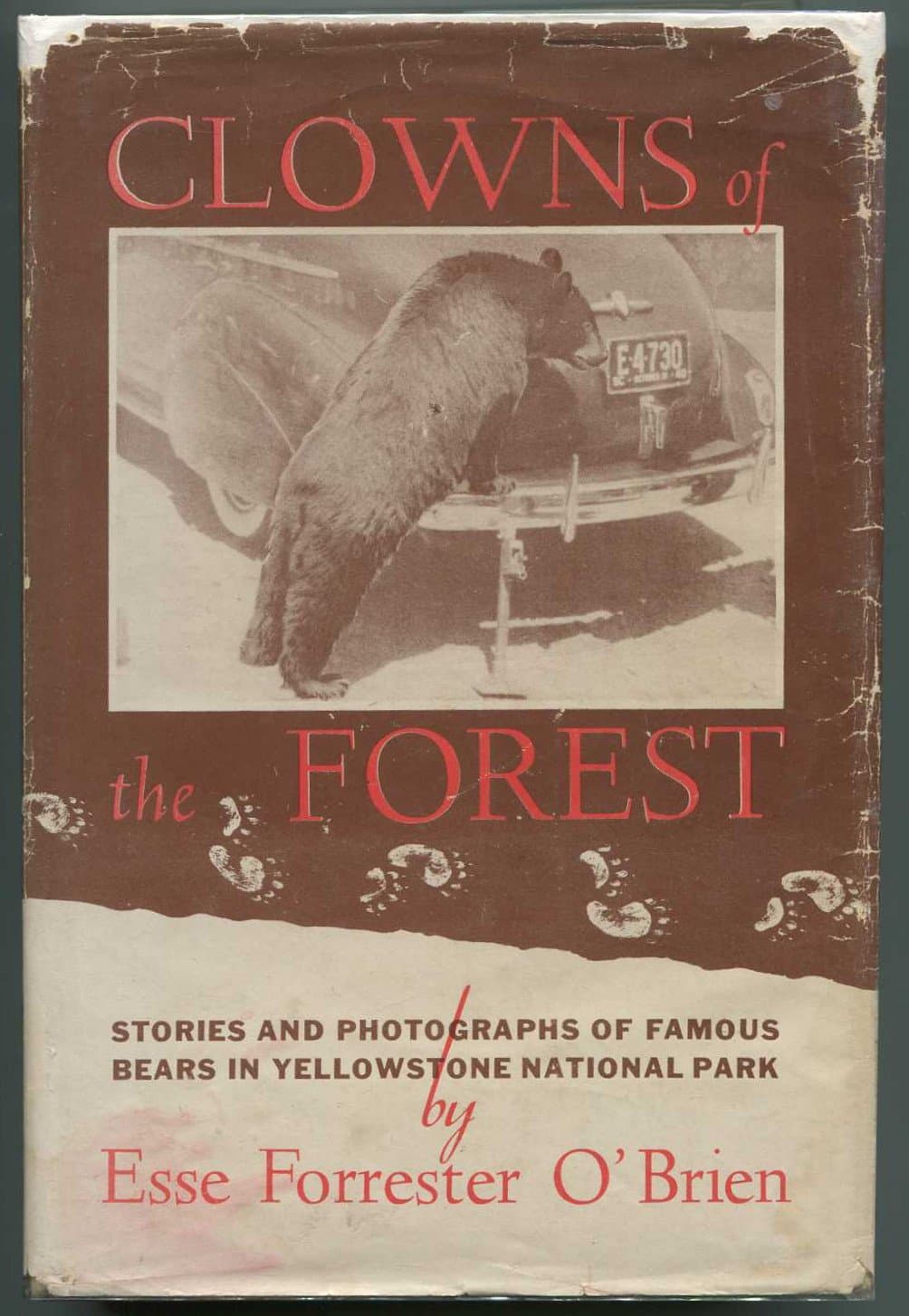 Clowns of the forest O'Brien, Esse Forrester by null