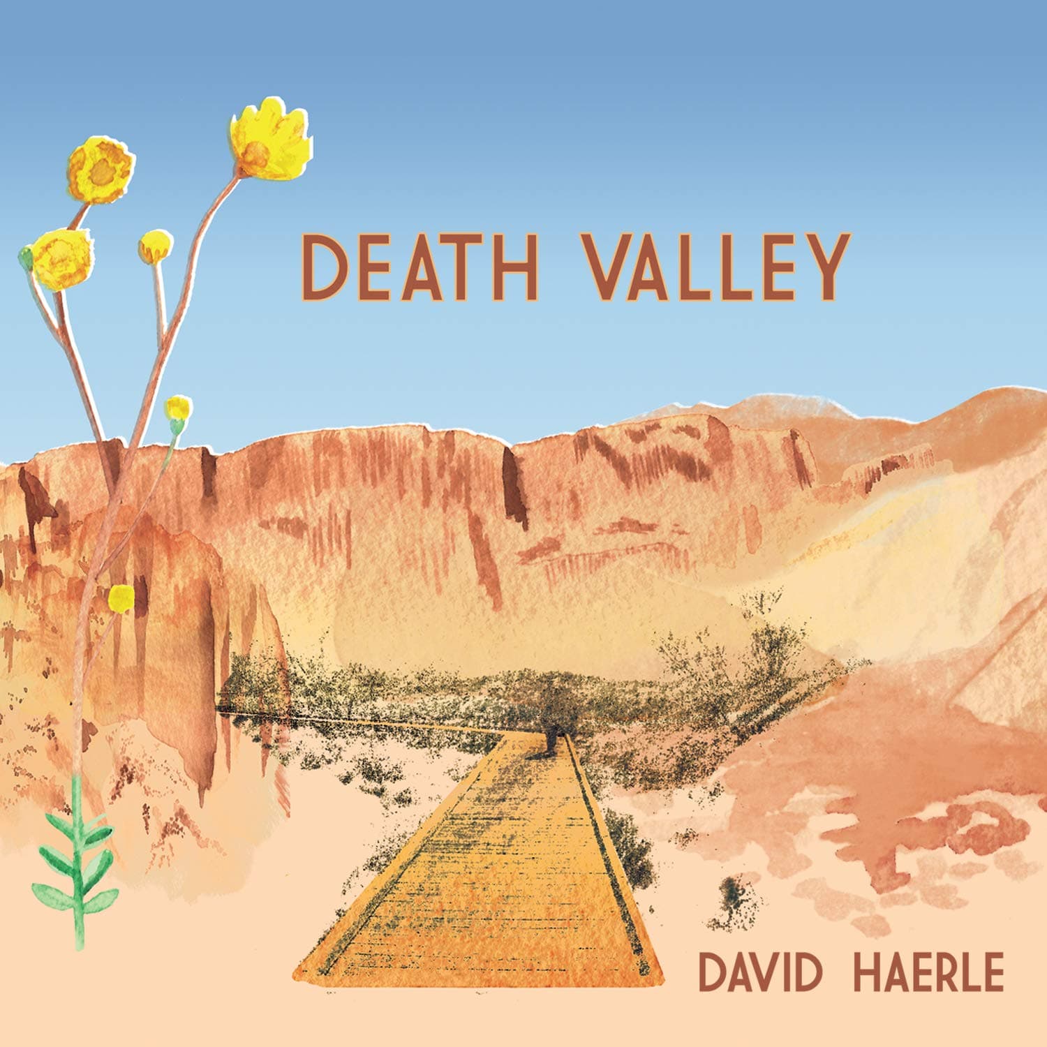 Death Valley [Audio CD] David Haerle by null