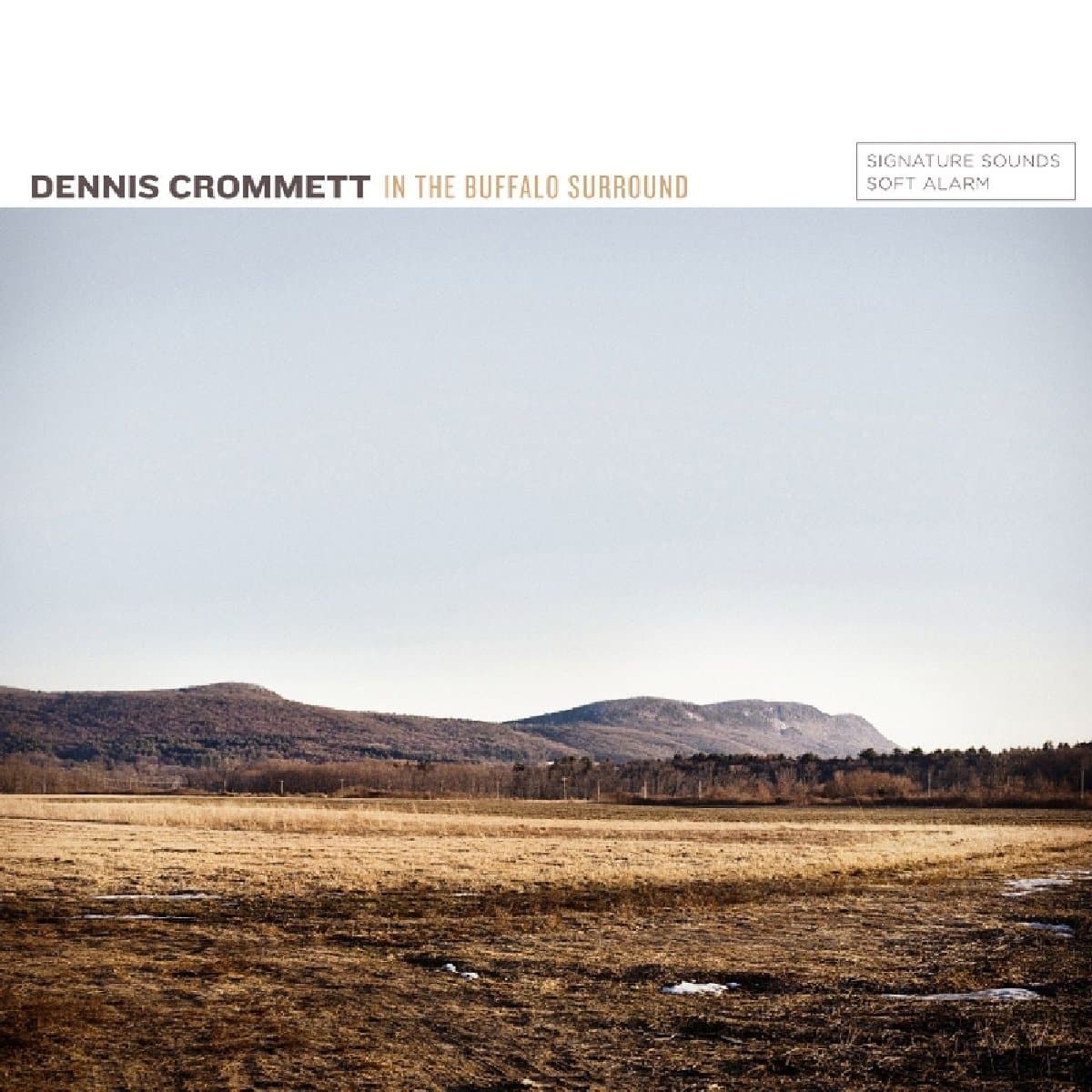 In The Buffalo Surround [Audio CD] Dennis Crommet by null