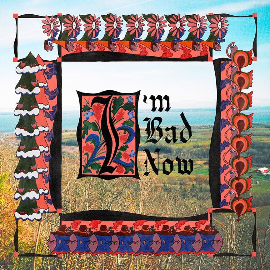 I'M BAD NOW [Audio CD] Nap Eyes by null