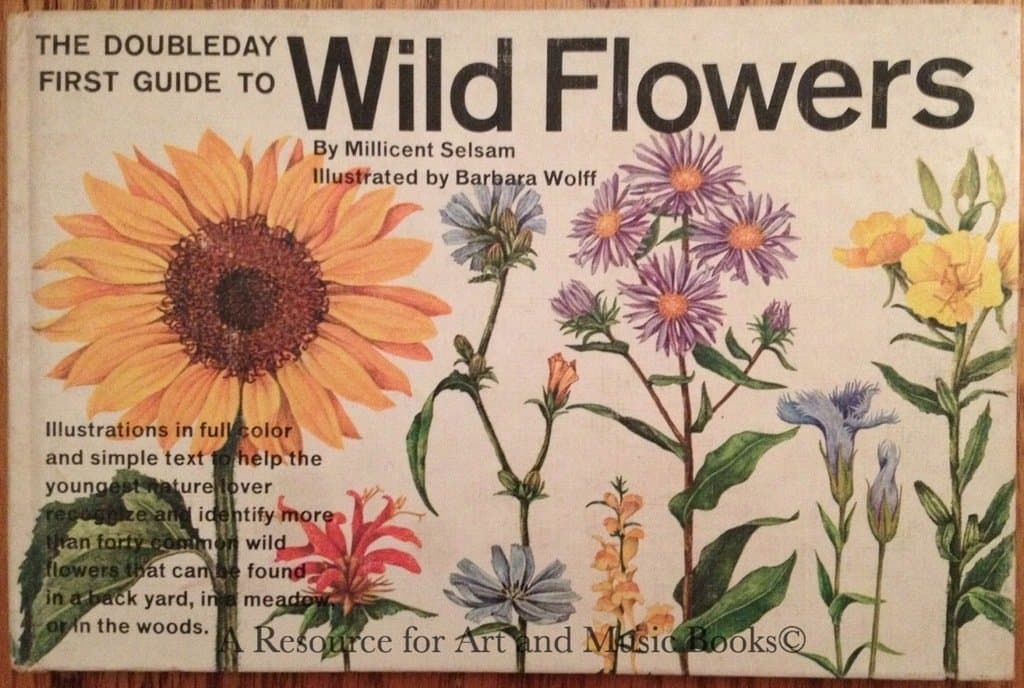 Doubleday's First Guide to Wild Flowers [Unknown Binding] Unknown by null