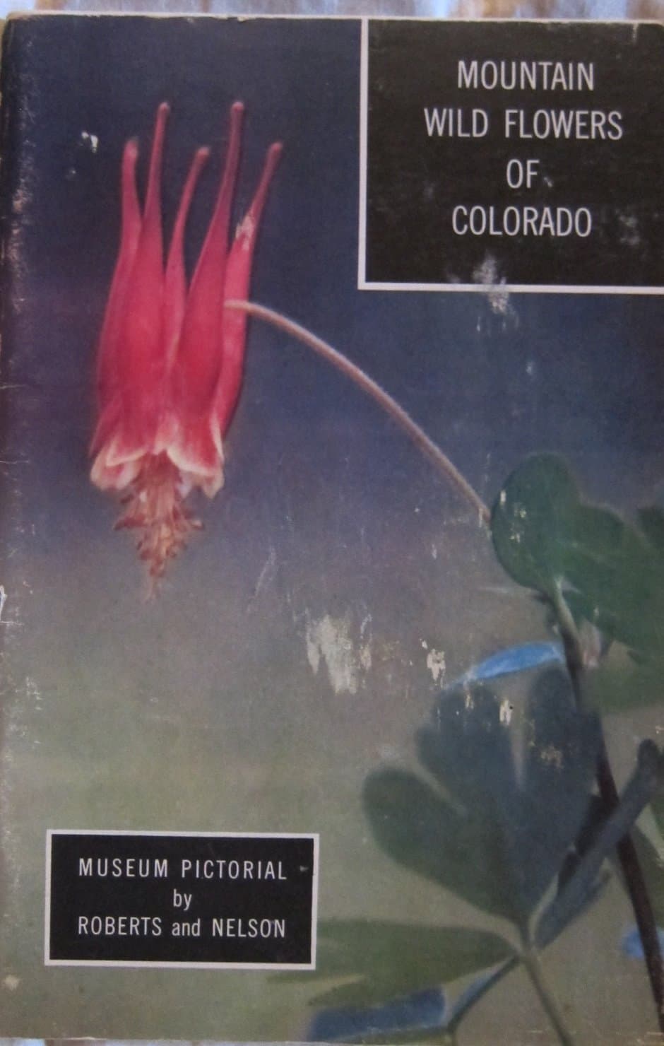 Mountain Wild Flowers of Colorado [Paperback] Harold D. Roberts and Rhoda N. Roberts by null