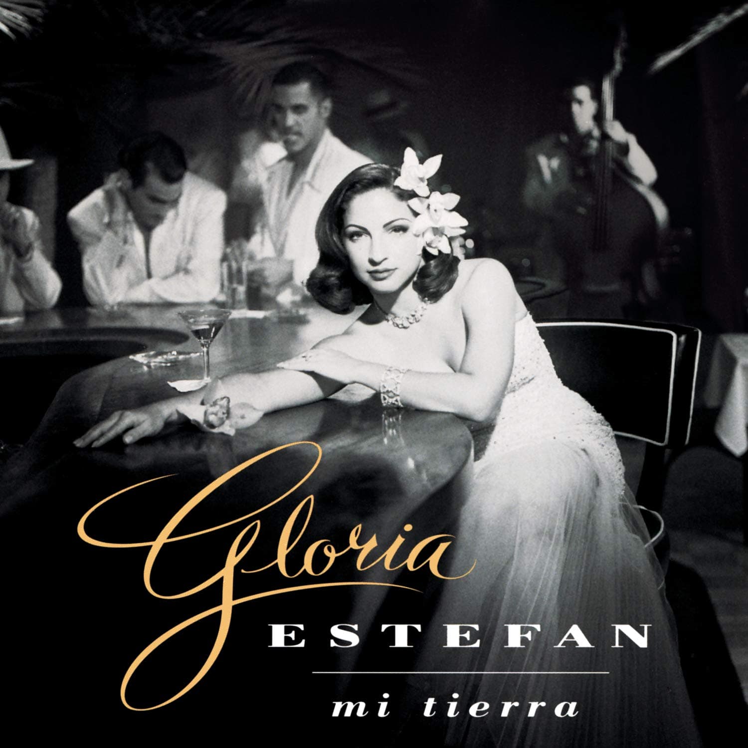 Mi Tierra [Audio CD] Gloria Estefan by null