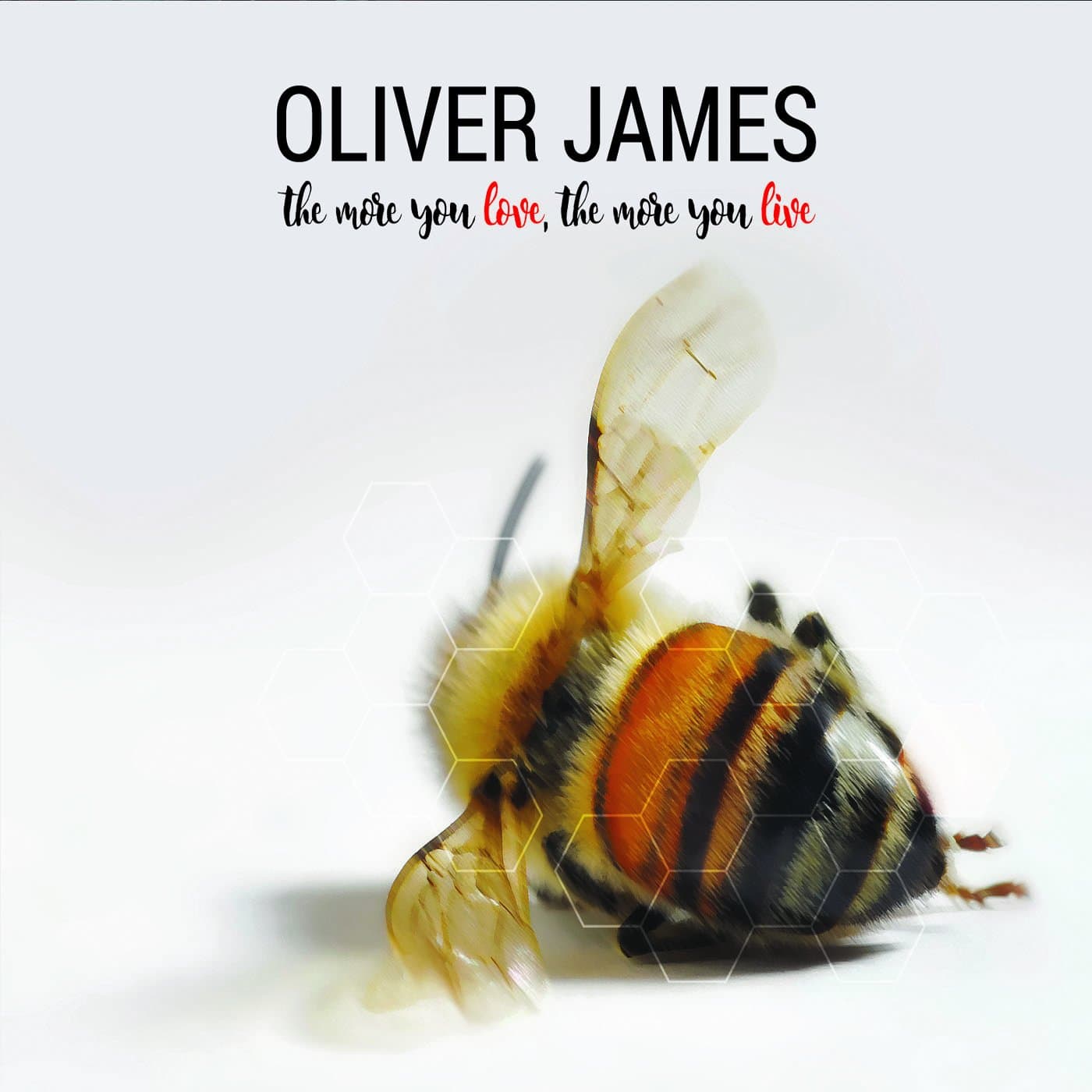 Oliver James - The More You Love, The More You Live (CD) [Audio CD] Oliver James; Sampson James and Levine Brett by null