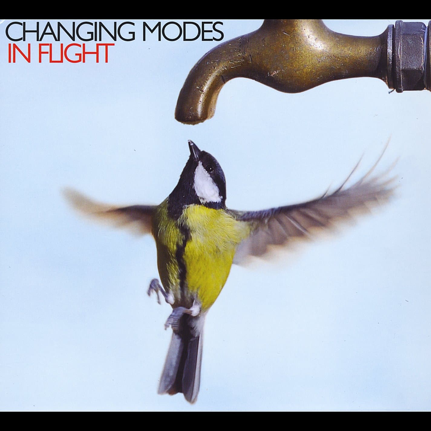 In Flight [Audio CD] Changing Modes by null