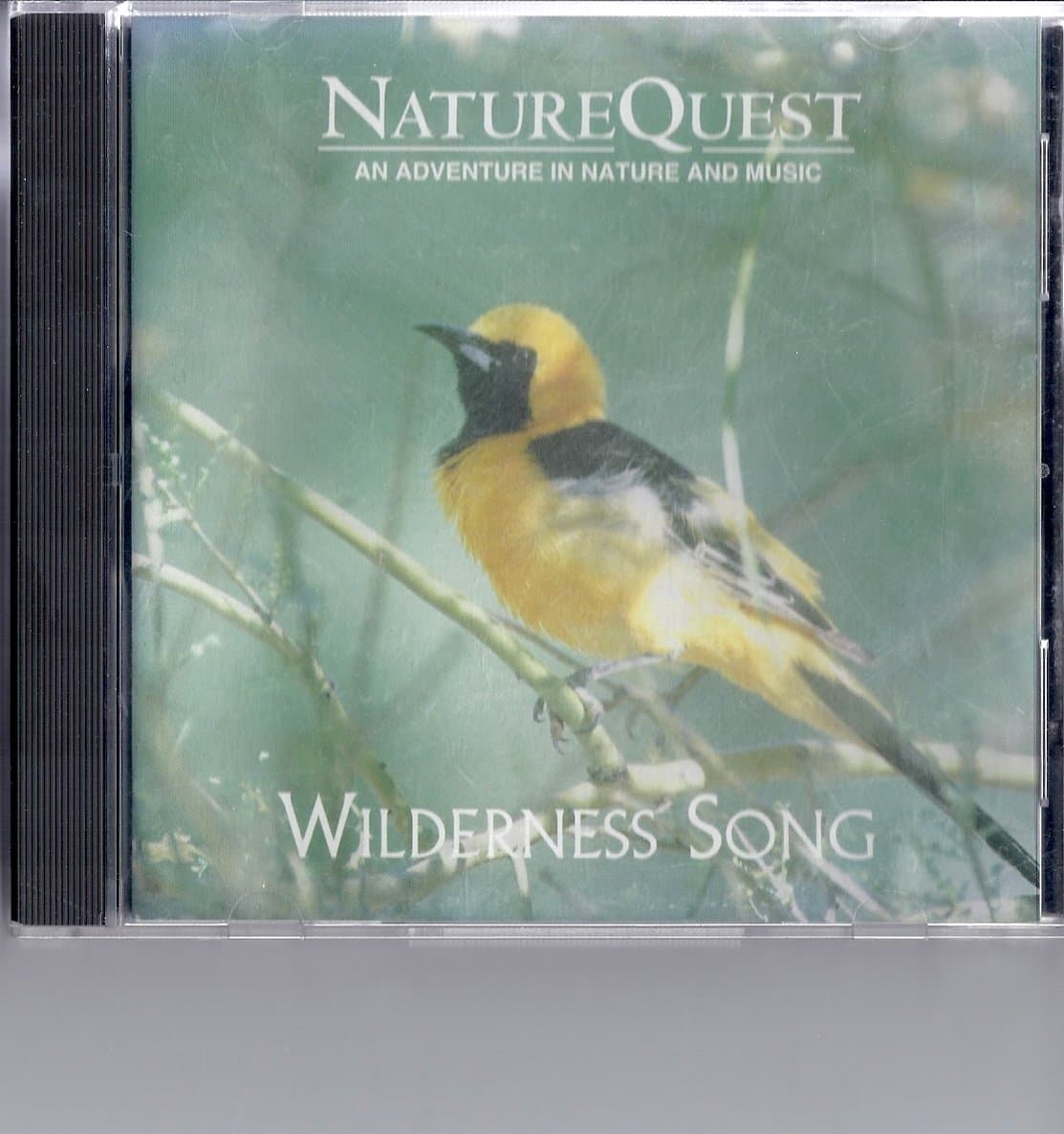 Wilderness Song