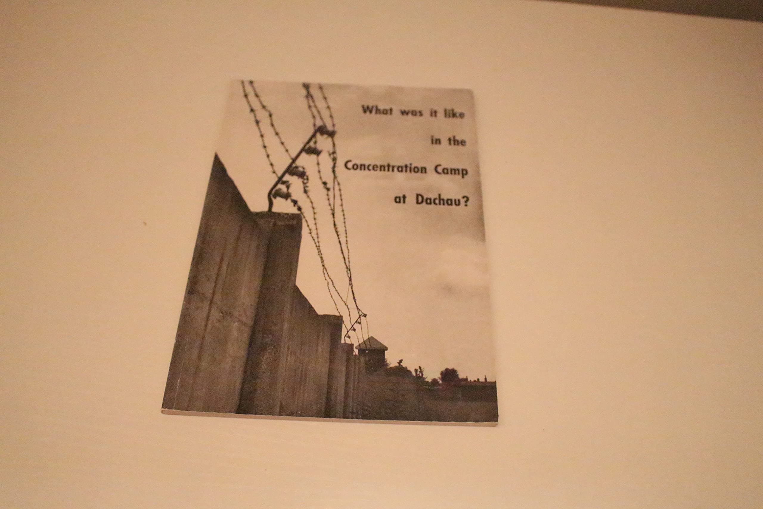 What Was It Like in the Concentration Camp At Dachau?