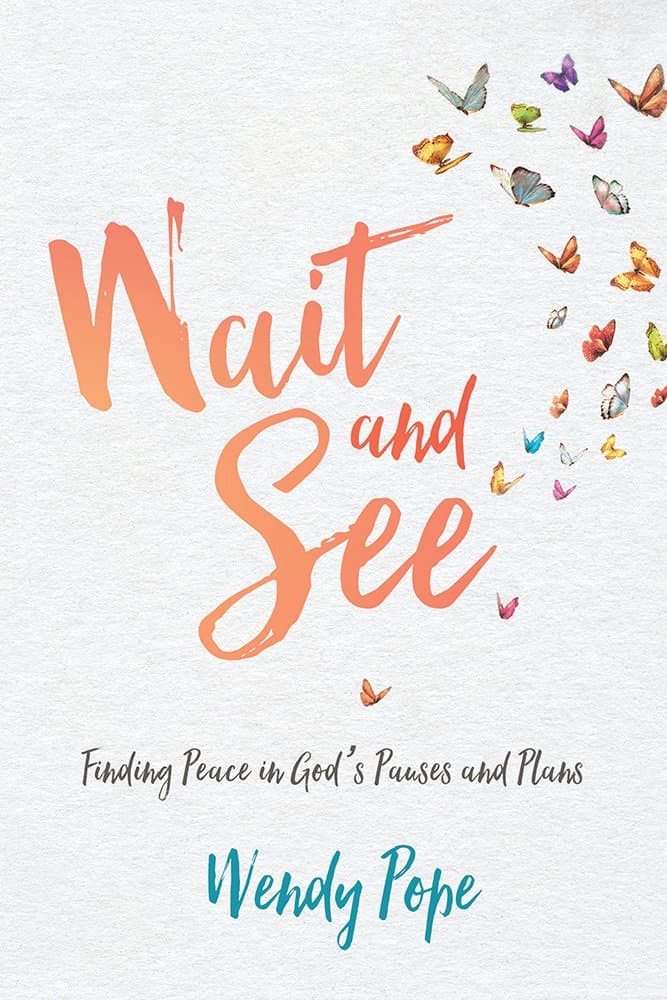 Wait and See: Finding Peace in God's Pauses and Plans [Paperback] Pope, Wendy by null