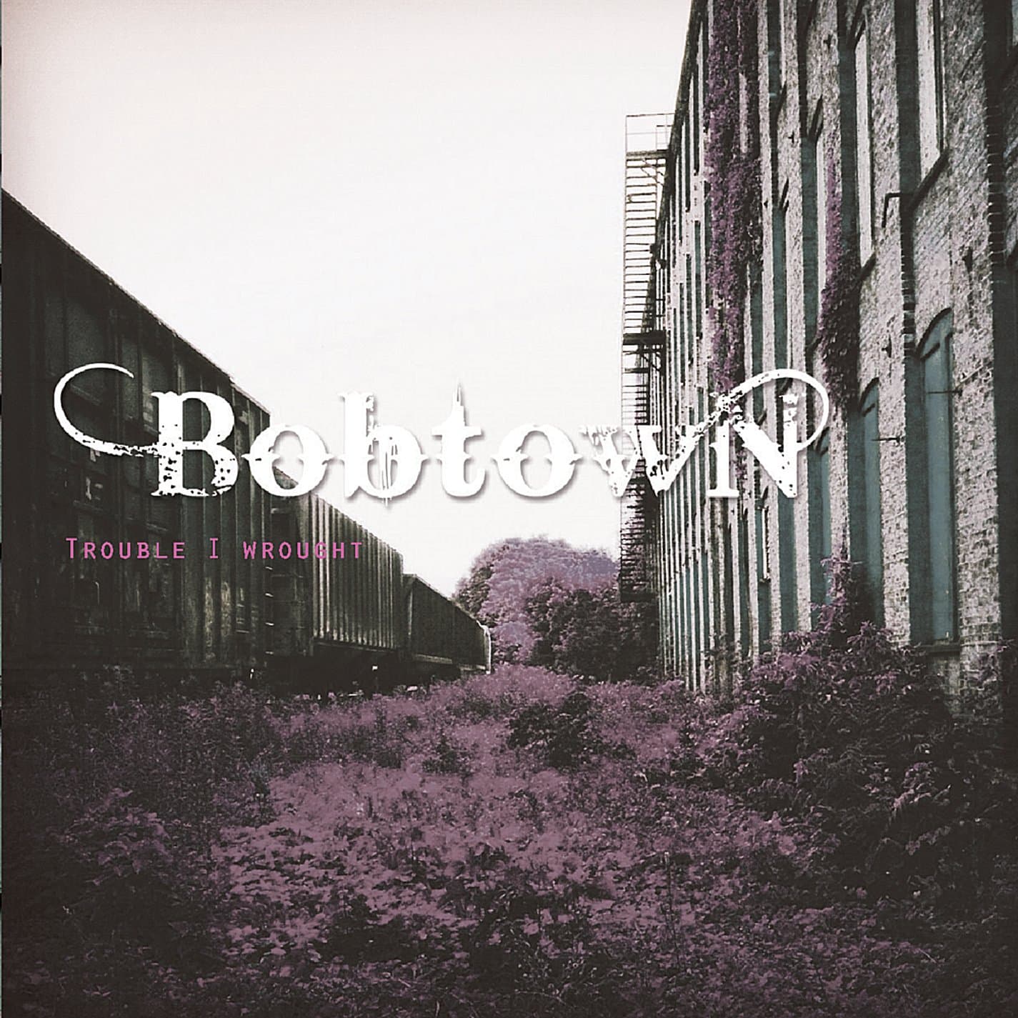 Trouble I Wrought [Audio CD] Bobtown by null
