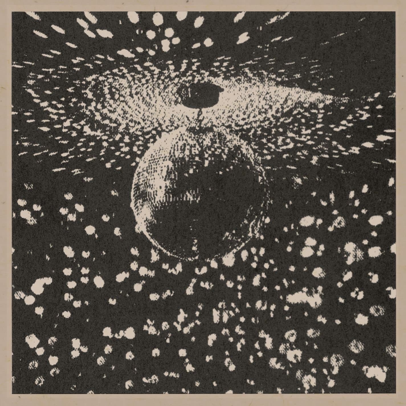 Mirror Ball [Audio CD] Neil Young
