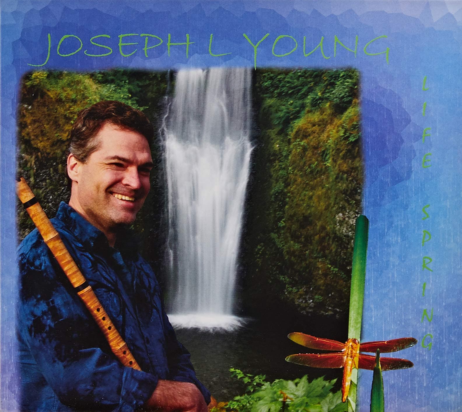 Life Spring [Audio CD] Joseph L Young by null