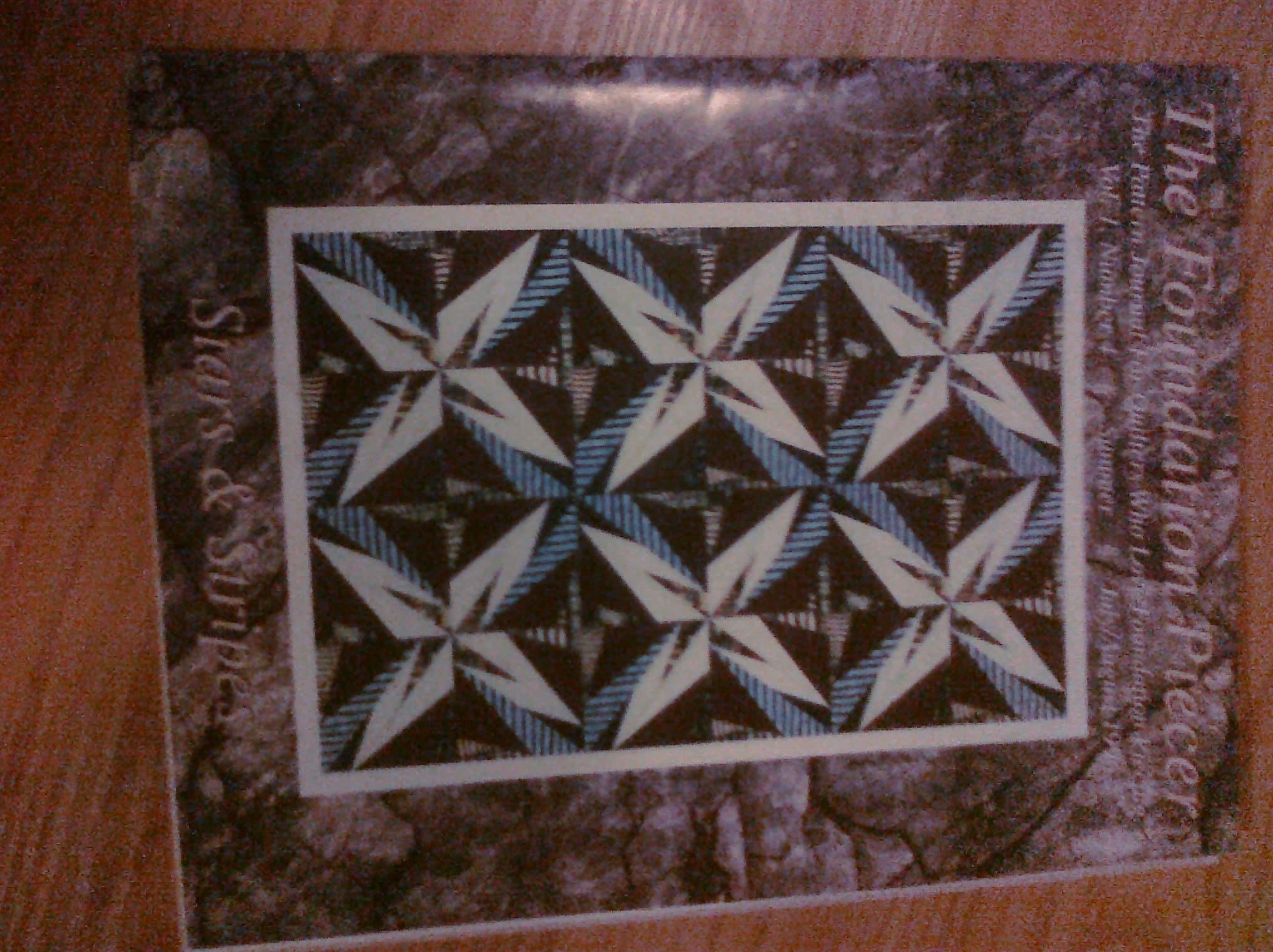 The Foundation Piecer Volume 1 Number 4- Stars and Stripes [Unknown Binding] Elizabeth Schwartz by null