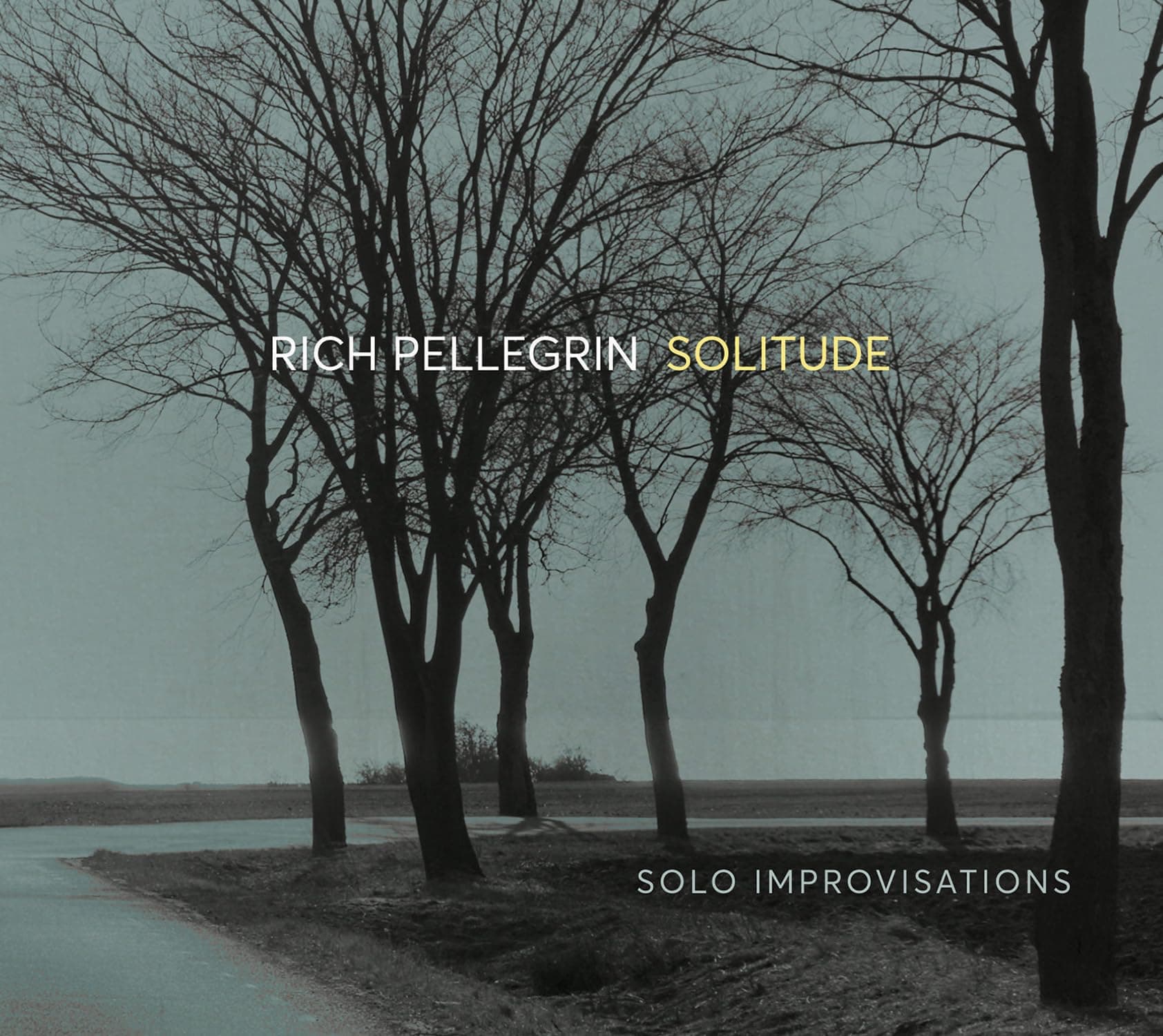Solitude: Solo Improvisations [Audio CD] Rich Pellegrin by null