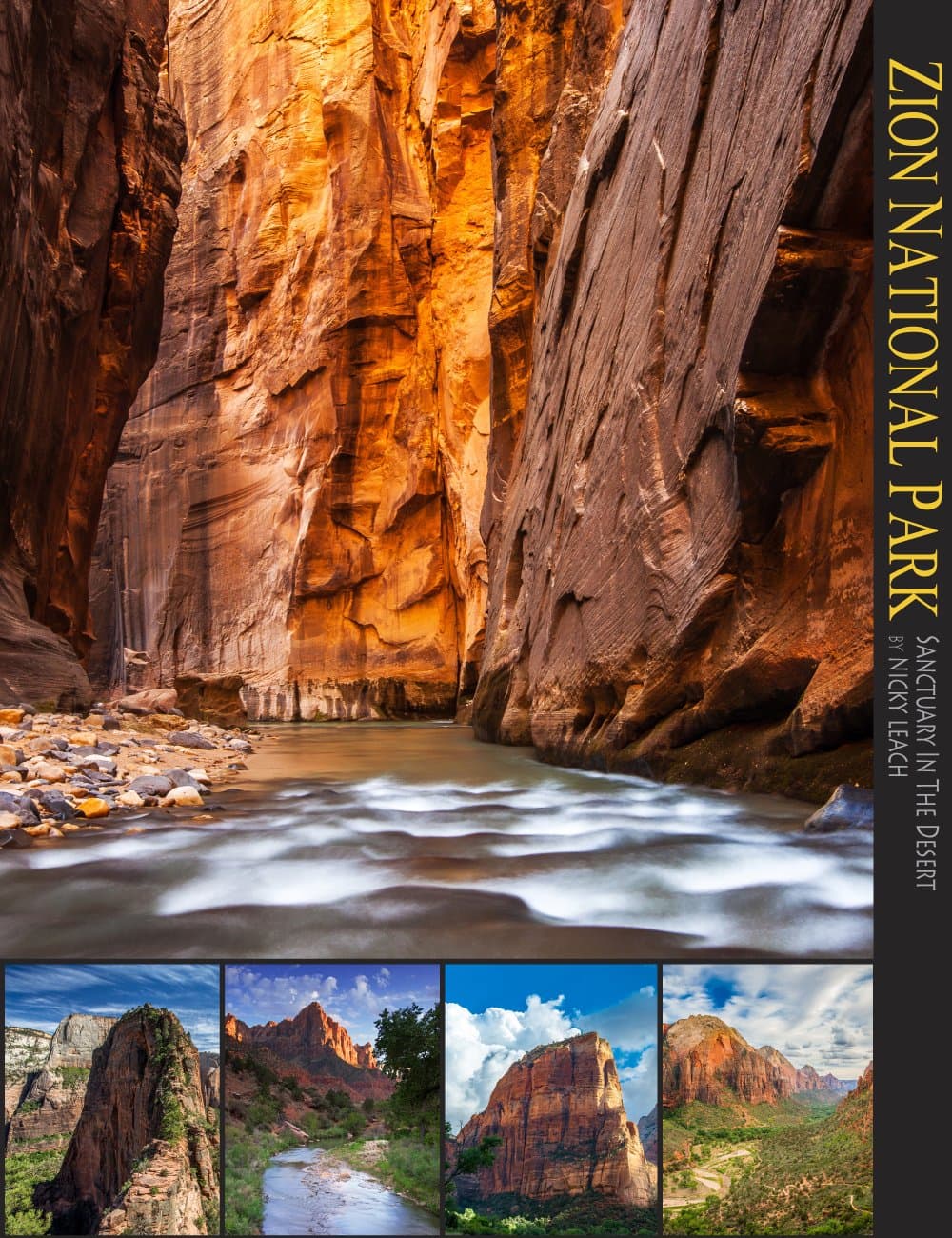 Zion National Park: Sanctuary in the Desert (A 10x13 Book�) [Perfect Paperback] Nicky Leach; Jeff D. Nicholas and America's leading landscape photographers by null