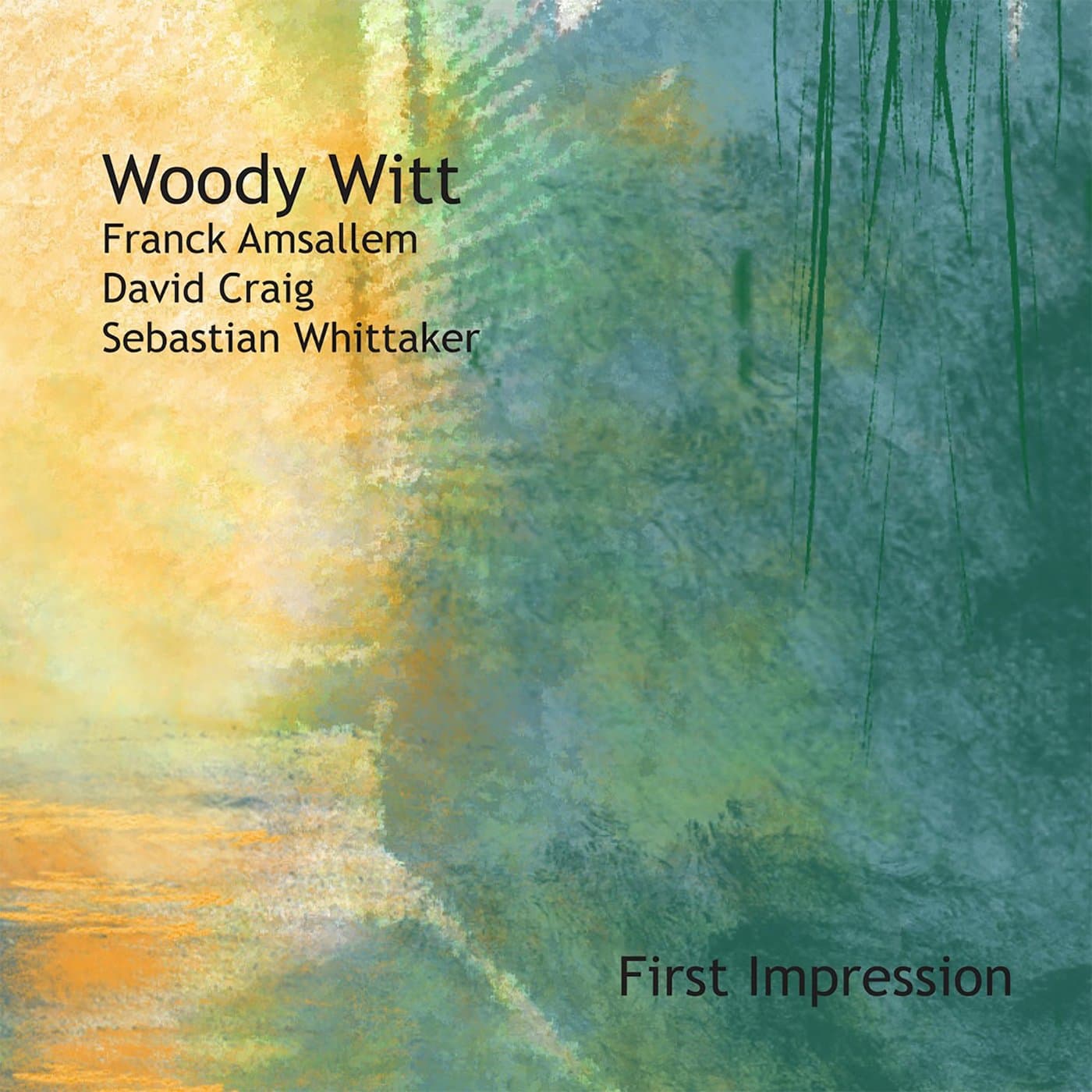 First Impression [Audio CD] WITT,WOODY by null
