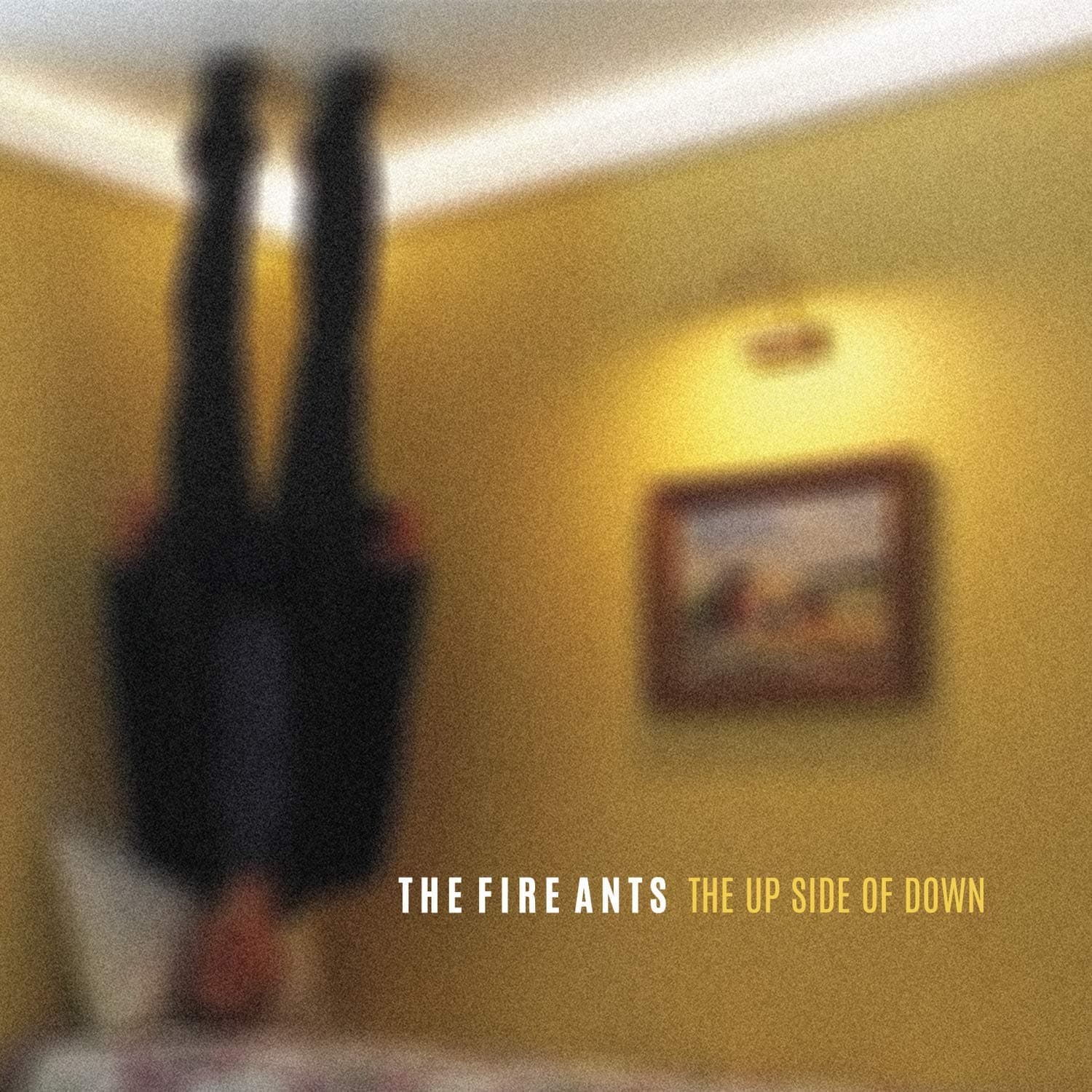 The up Side of Down [Audio CD] by null