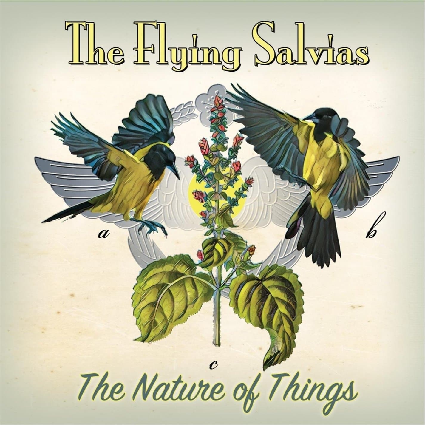 The Nature Of Things [Audio CD] Flying Salvias by null