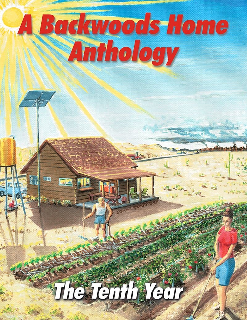 A Backwoods Home Anthology: The Tenth Year (1999) [Paperback] Dave Duffy and John Silveira by null