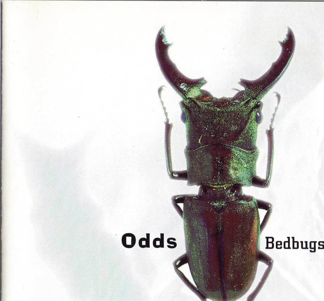 Bedbugs [Audio CD] by null