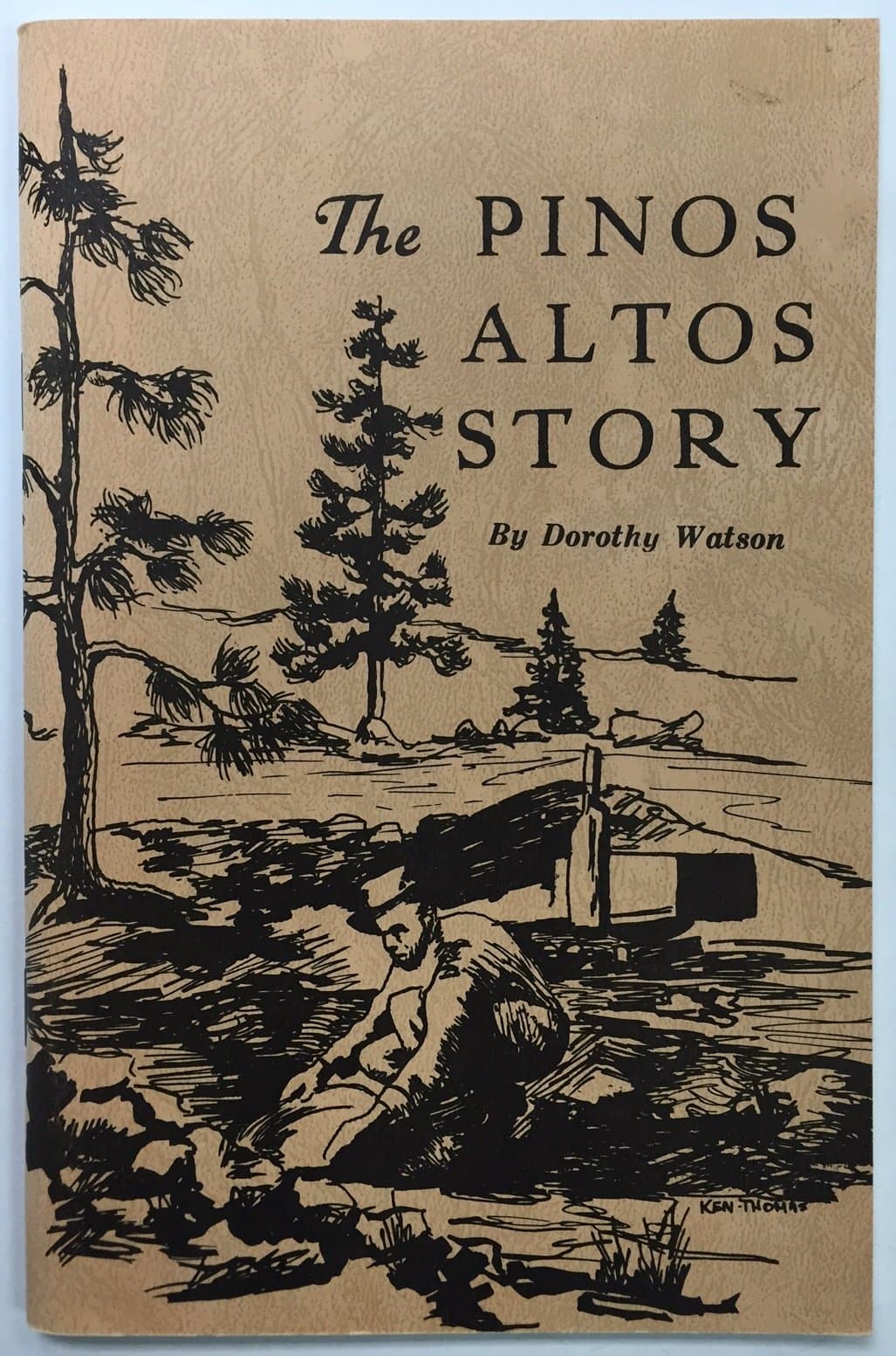 The Pinos Altos Story [Paperback] by null
