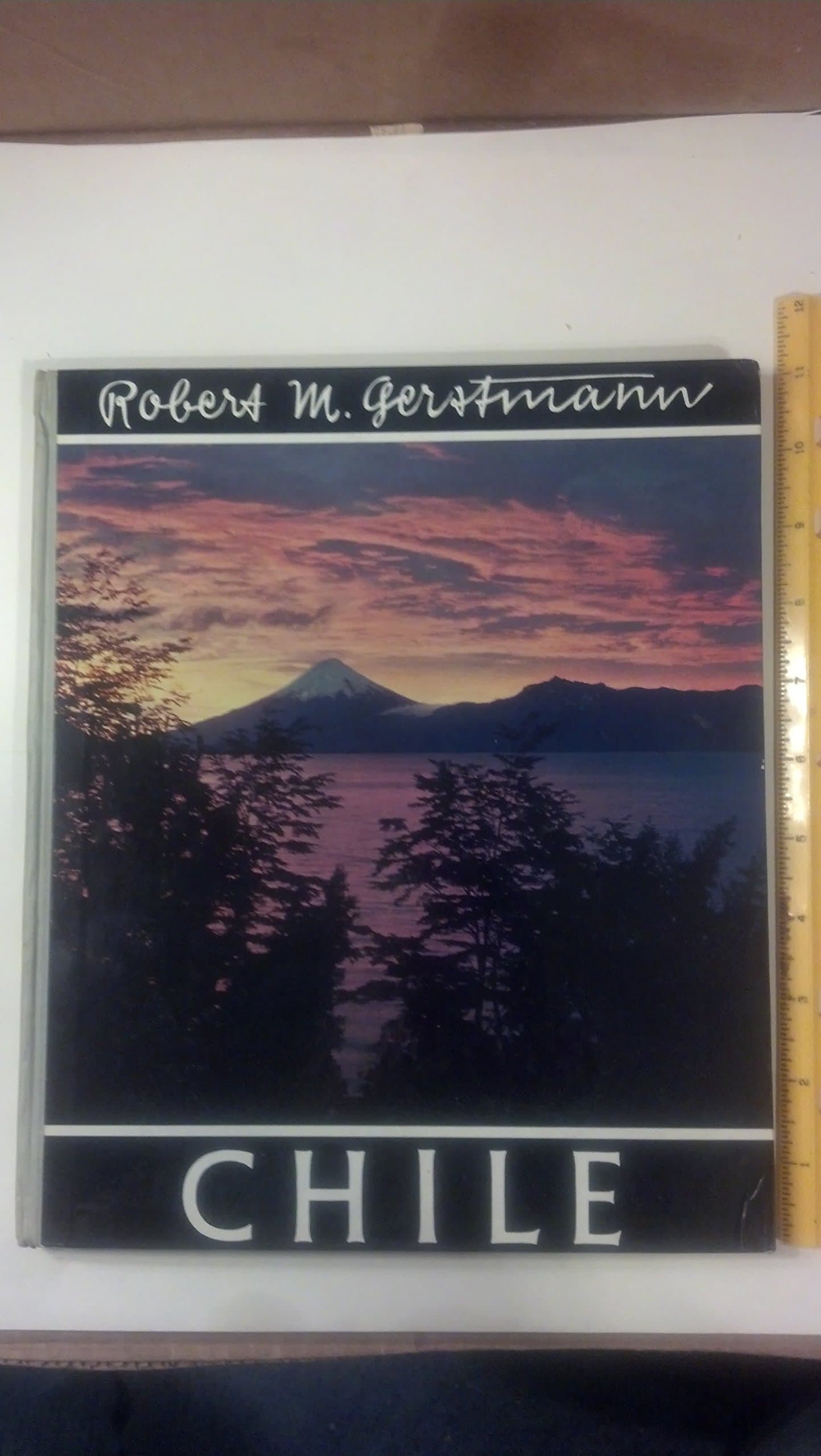Chile en 110 Cuadros [Hardcover] Robert M. Gerstmann; Raul Silva Castro; Dra Grete Mostny and Ernst Samhaber by null