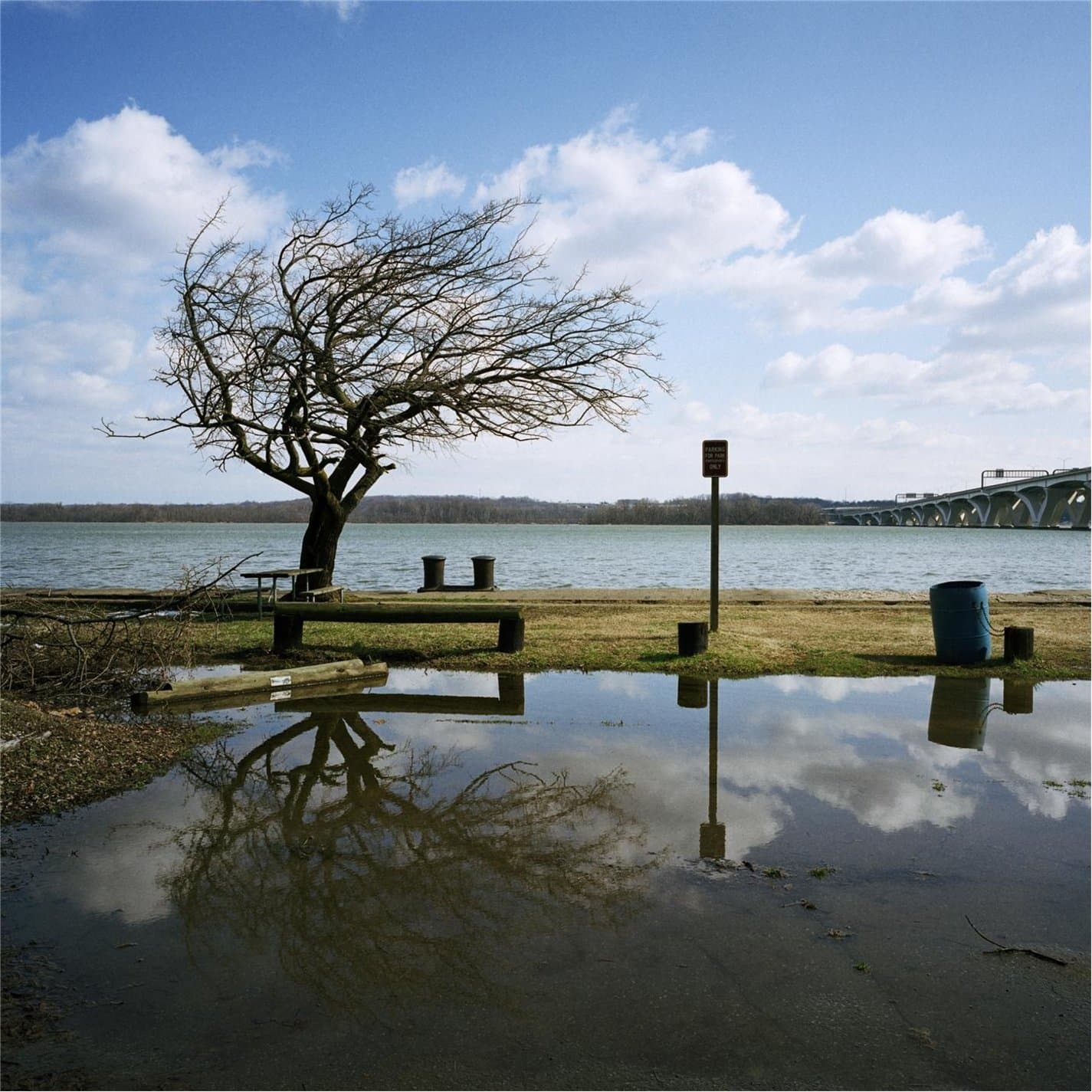 Songs for a Traveler [Audio CD] The Looking by null