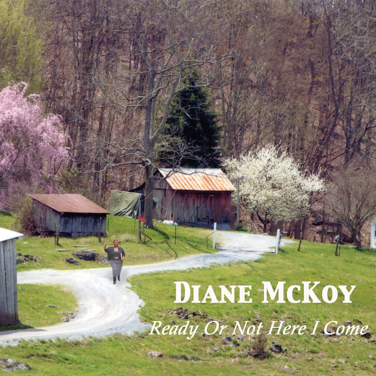 Ready or Not Here I Come [Audio CD] Diane McKoy by null