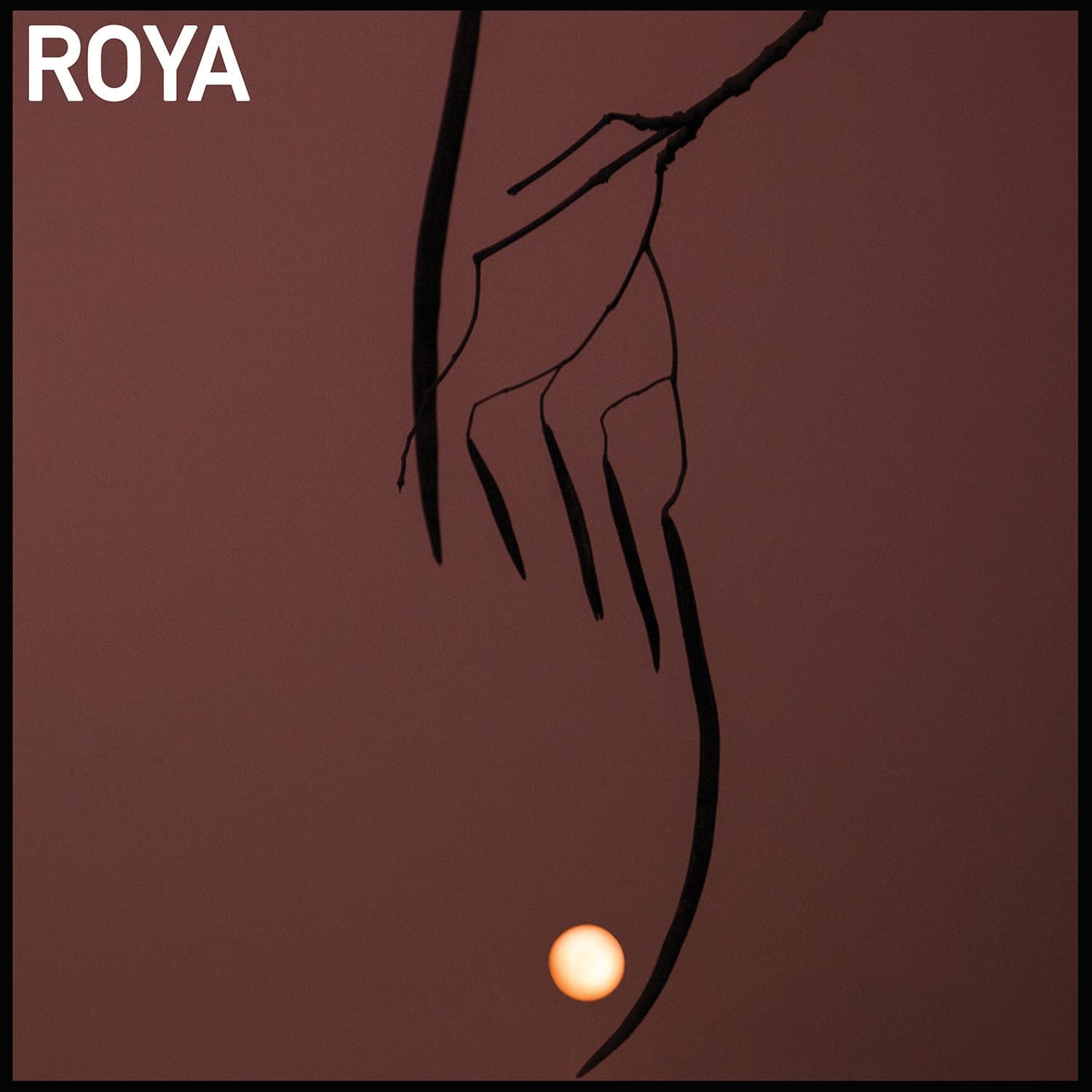 Roya [Audio CD] Roya by null