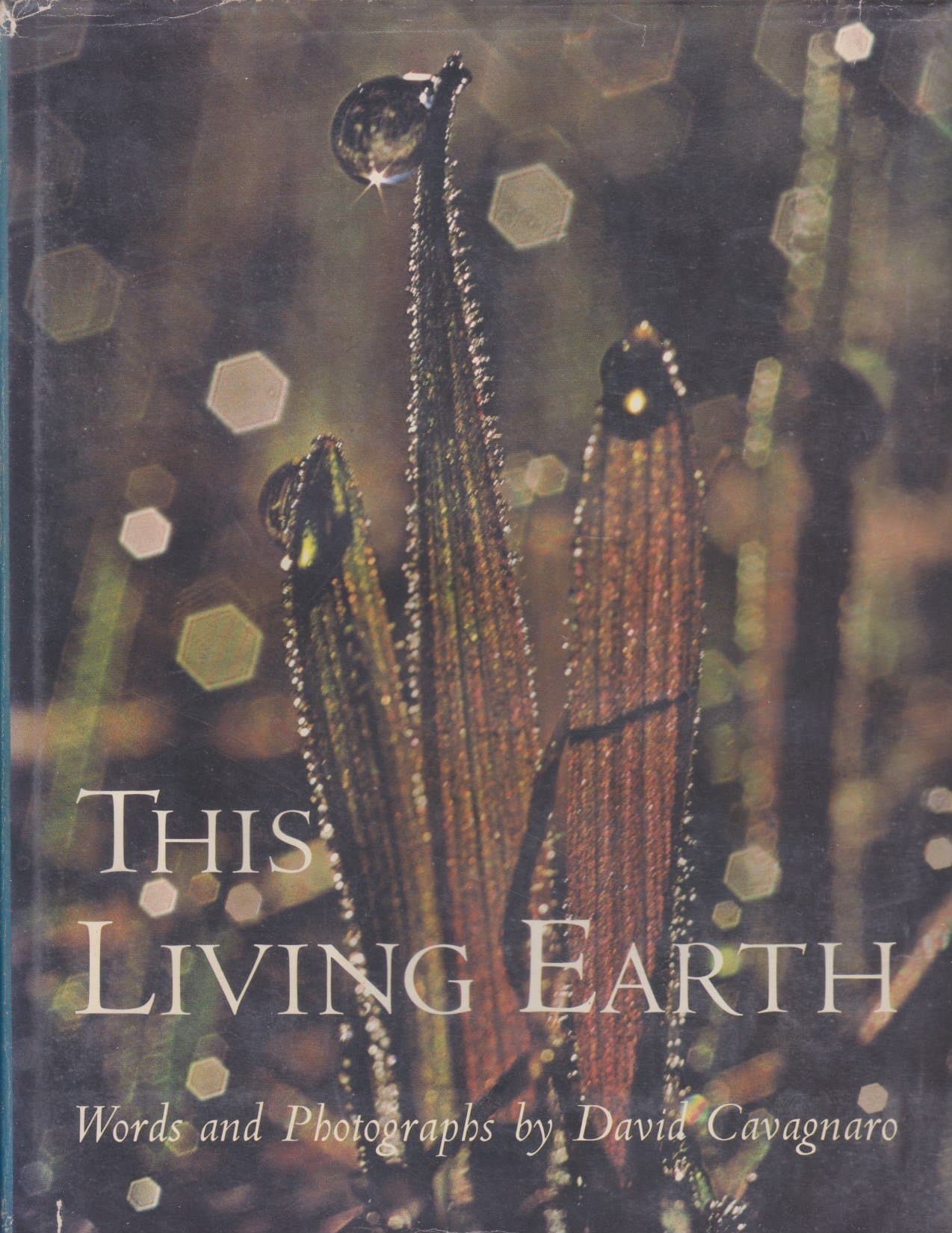 This living earth by David Cavagnaro