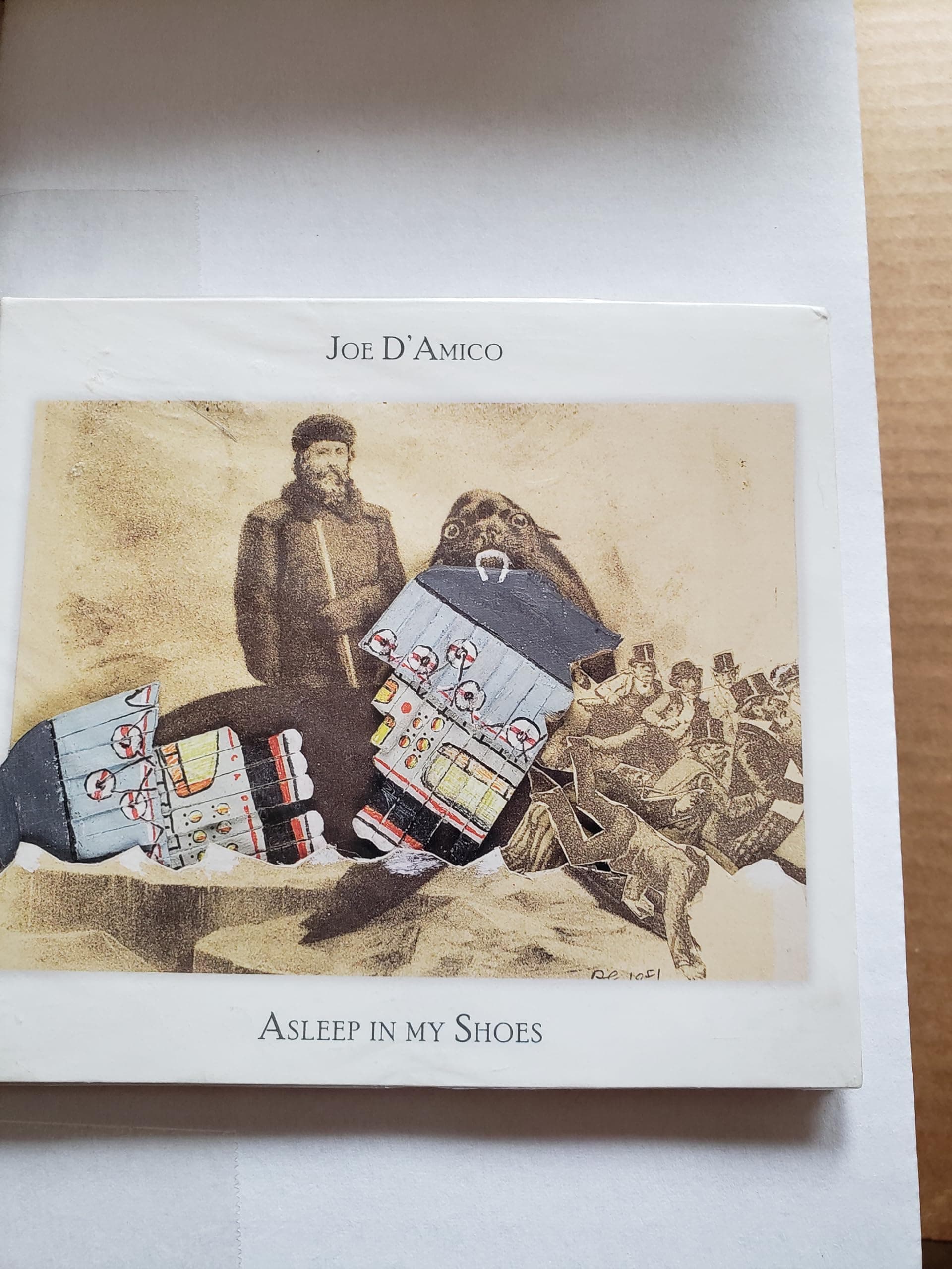 Asleep in My Shoes [Audio CD] by null