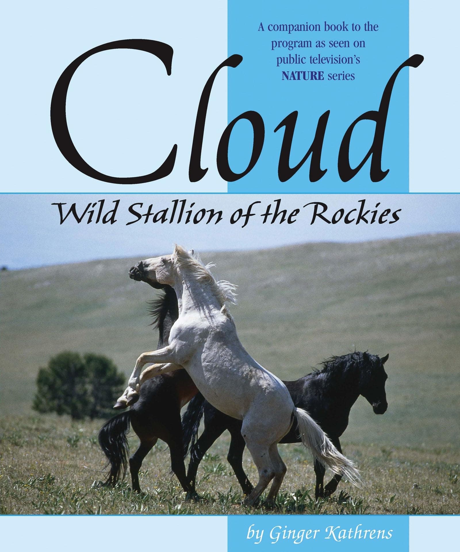 Cloud: Wild Stallion of the Rockies, Revised and Updated Kathrens, Ginger by null