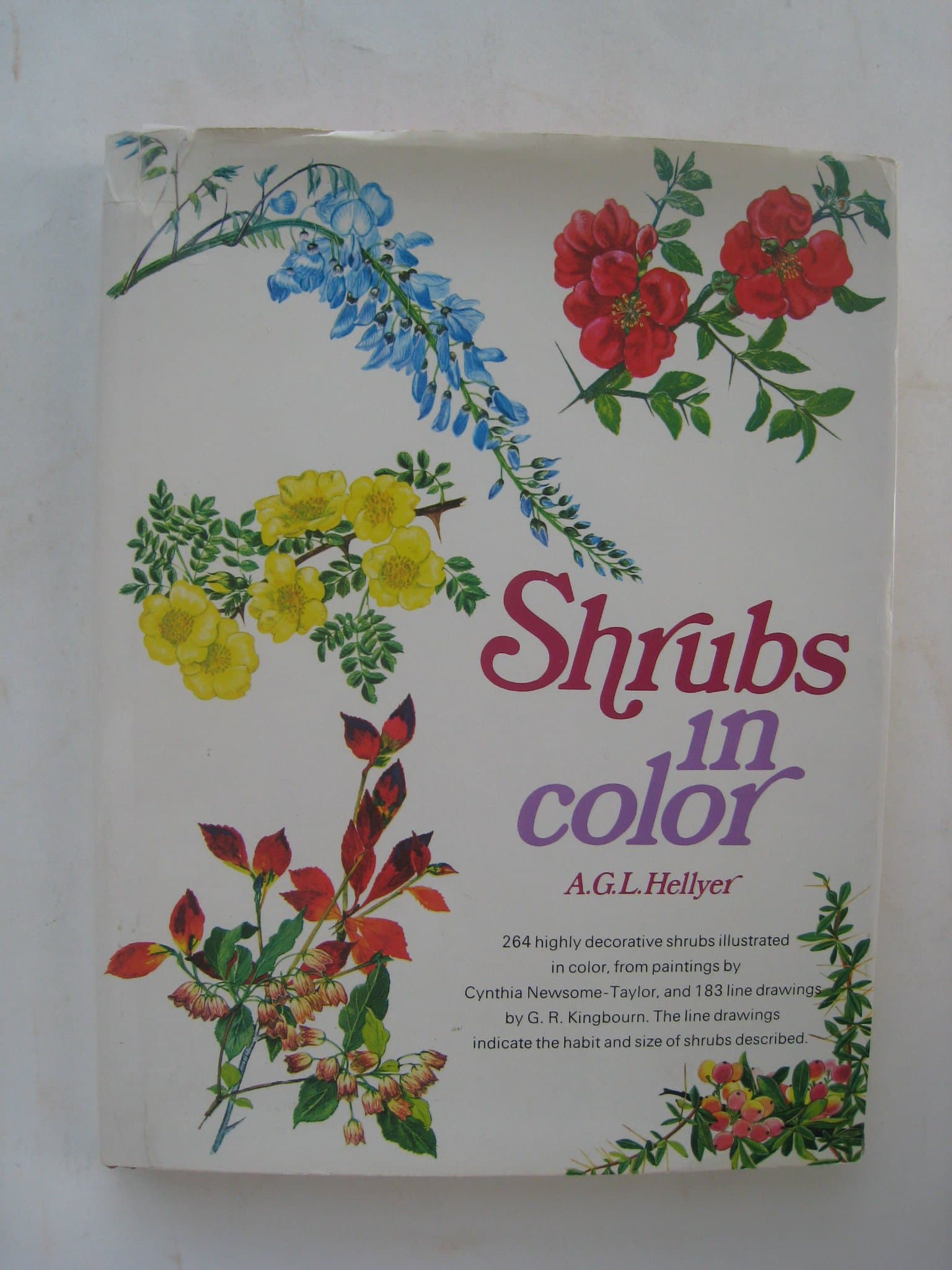 Shrubs in Color [Hardcover] Hellyer, A. G. L. by null