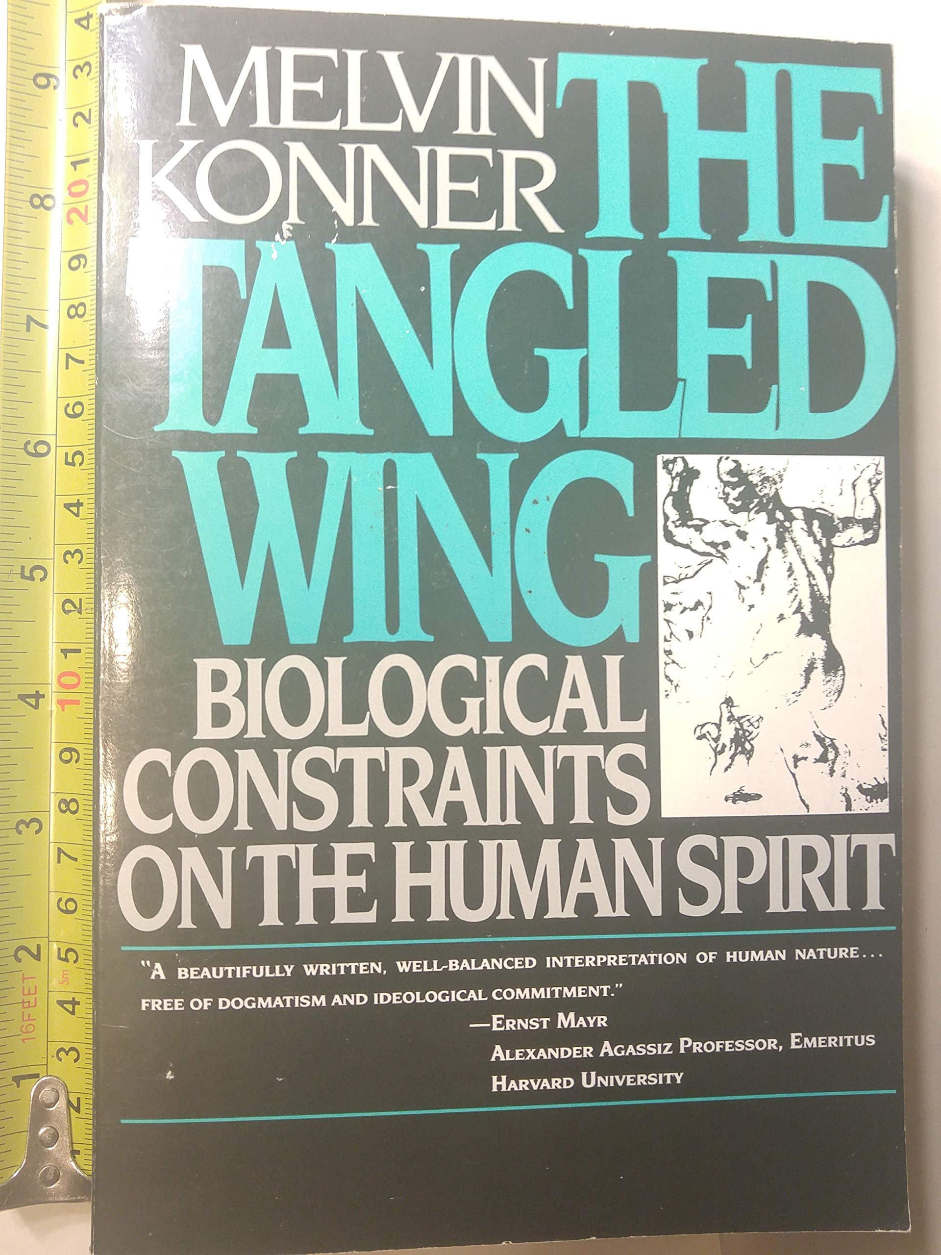 The Tangled Wing: Biological Constraints on the Human Spirit [Paperback] Konner, Melvin by null