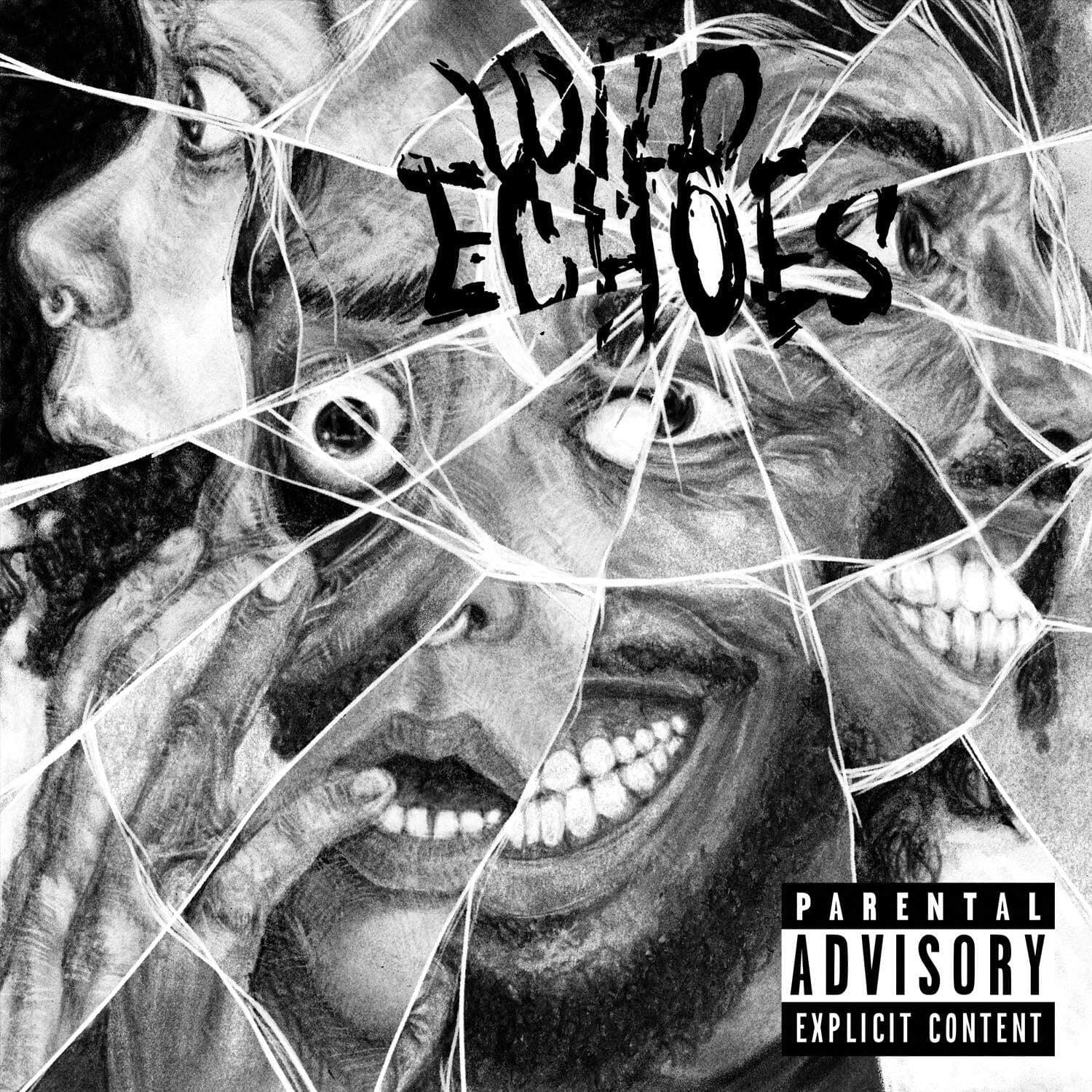 Wild Echoes [Audio CD] Black Creatures by null