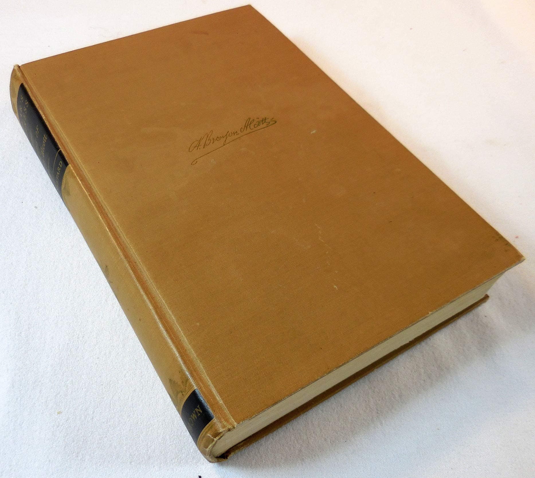 Pedlar's progress: The life of Bronson Alcott, Shepard, Odell by null