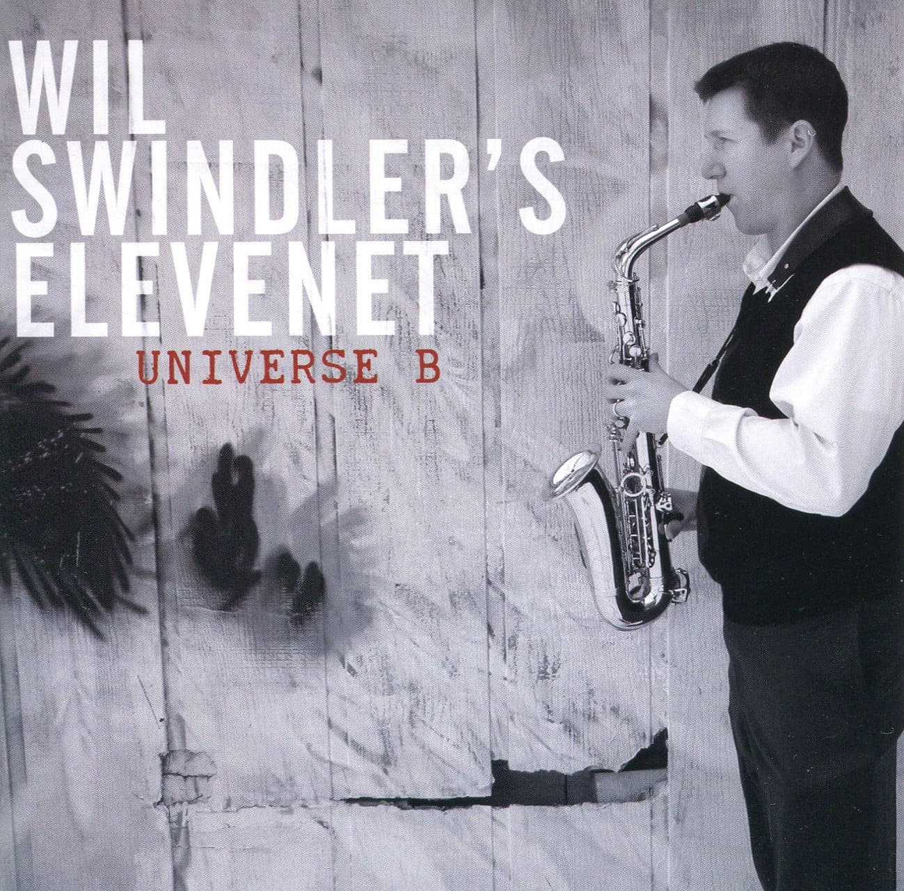 Universe B [Audio CD] Swindler Elevenet, Wil; Wil Swindler; George Harrison; Billy Strayhorn; Miles Davis; Peter Sommer; Art Bouton; Ricky Sweum; Al Hood; April Johannesen; Todd Reid; Dana Landry; Darren Kramer; Gabe Mervine and Dawn Kramer by null