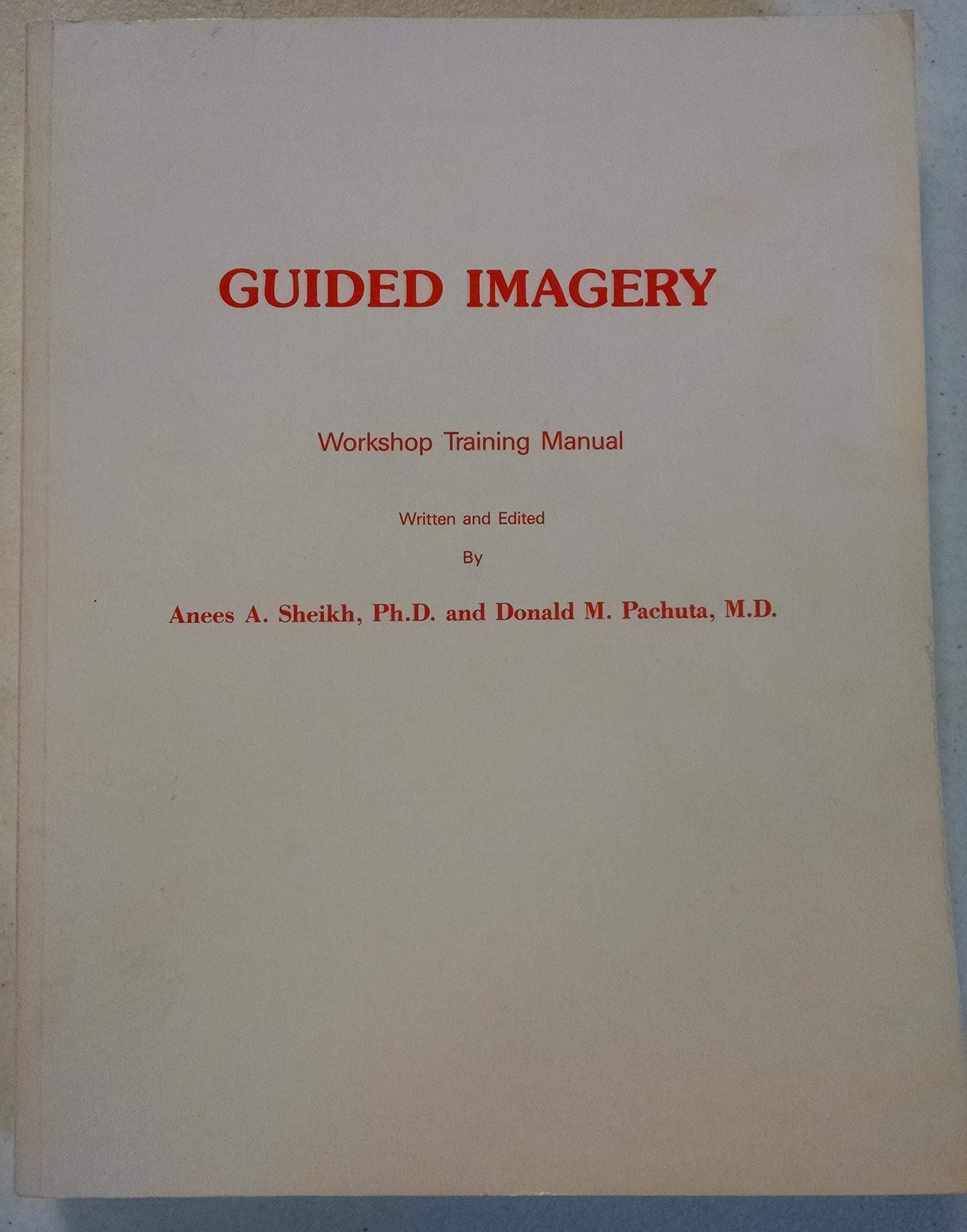 Guided Imagery: Workshop Training Manual [Paperback] Anees A. Sheikh and Donald M. Pachuta by null
