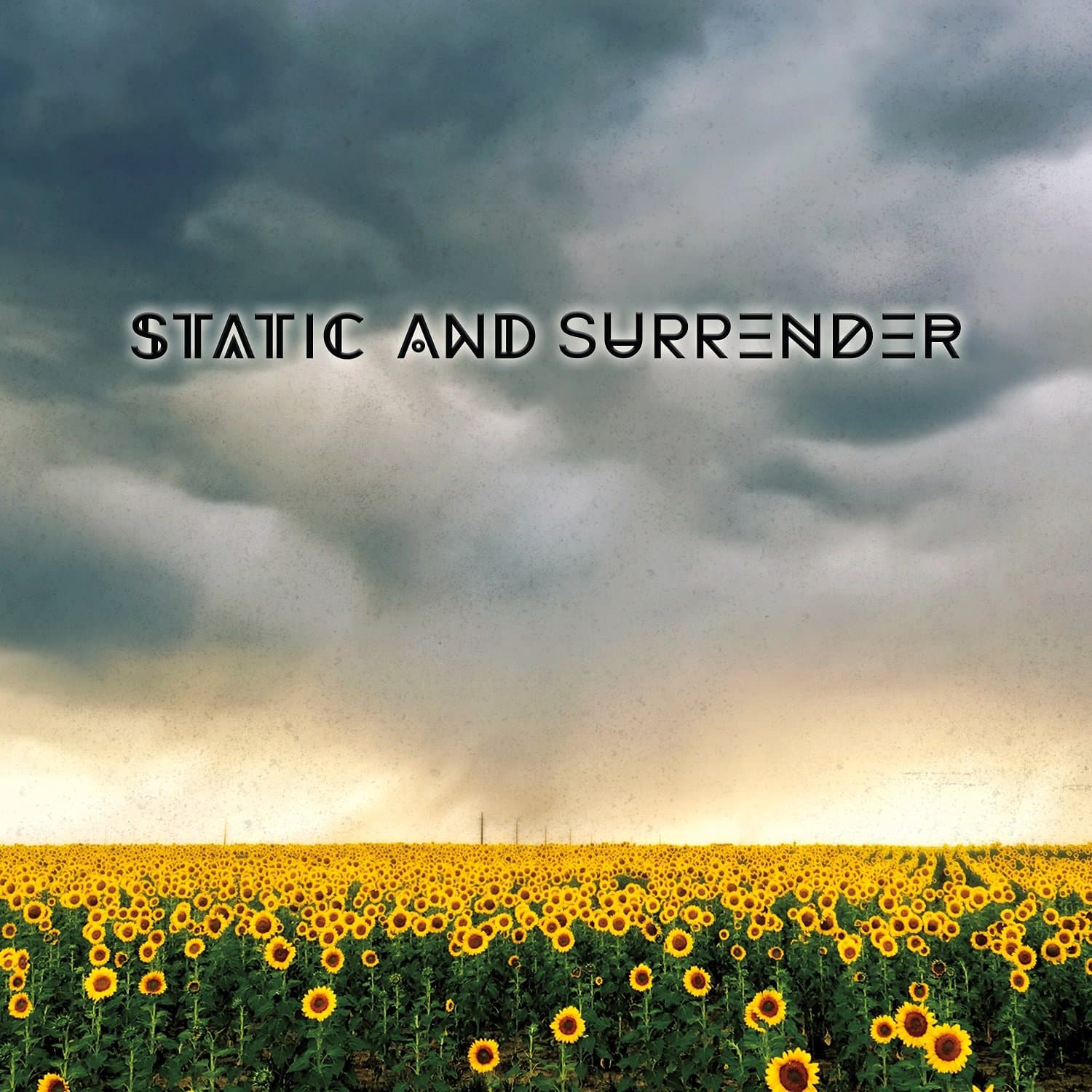 Static & Surrender [Audio CD] Static and Surrender by null