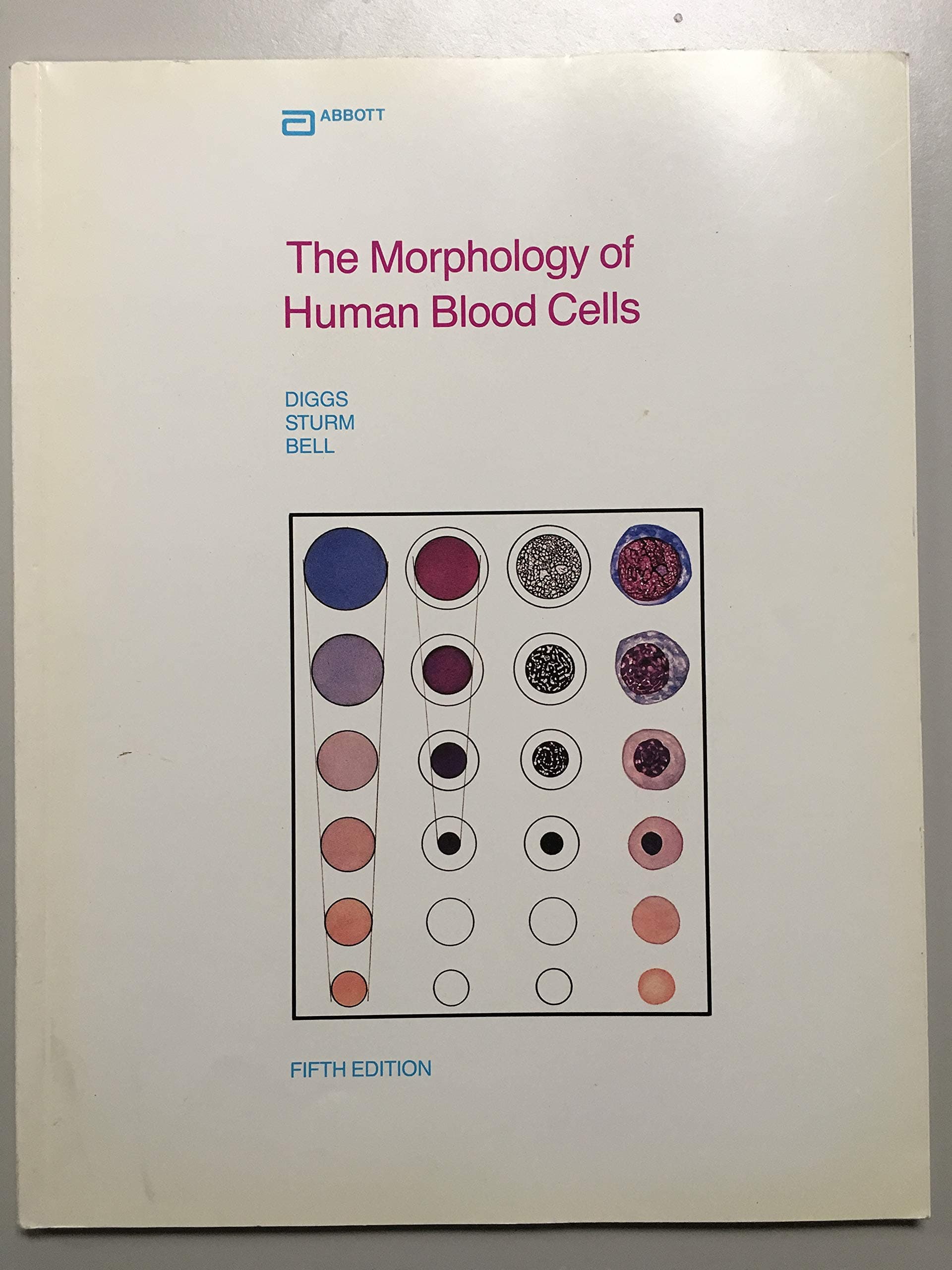 The Morphology of Human Blood Cells