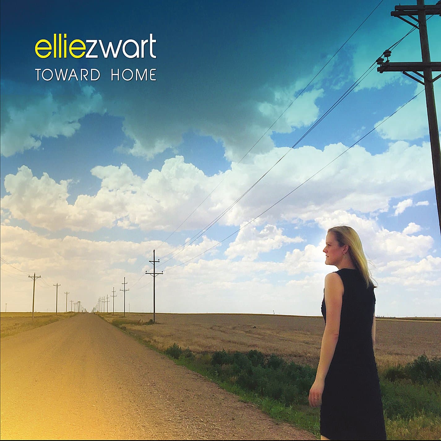 Toward Home [Audio CD] Zwart, Ellie