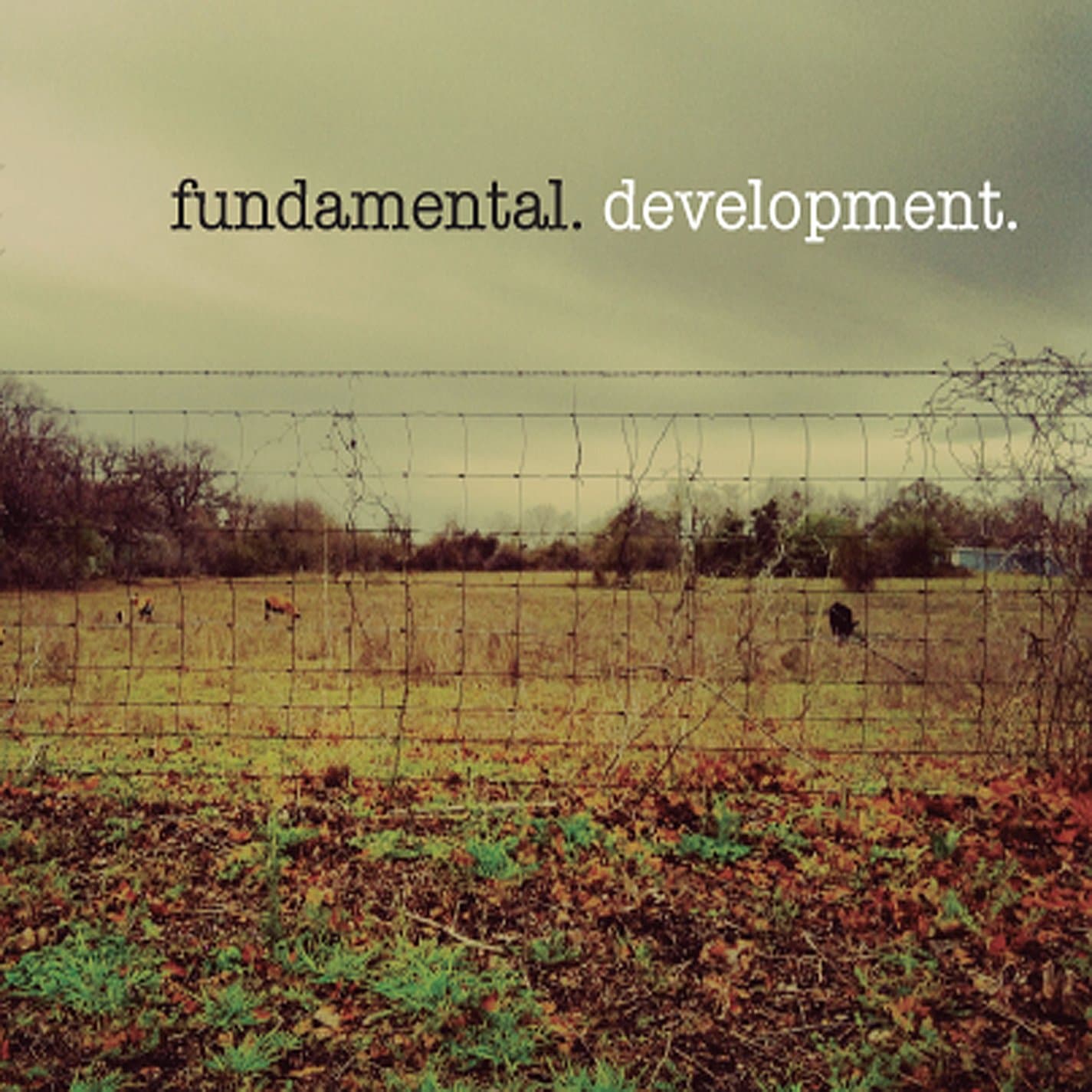 Development [Audio CD] Fundemental; Colin Hinton; Lane Garner; Luke Angle; Kathryn Christie; Devin Eddleman; Spenser Liszt and Nick Salvucci by null