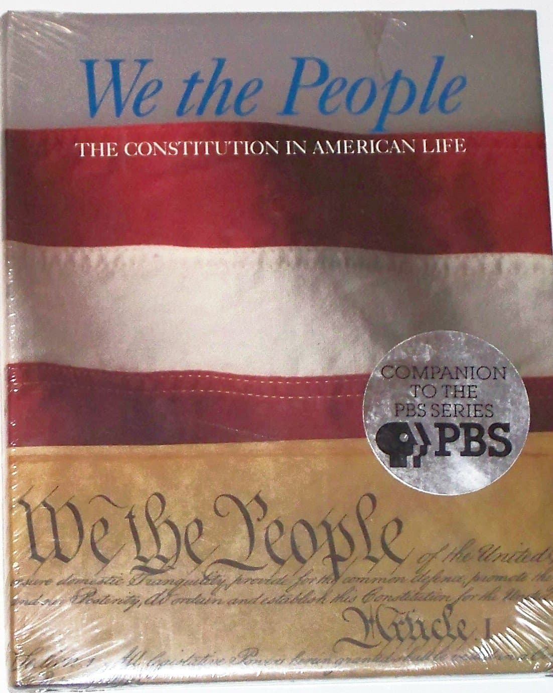 We the people: The Constitution in American life by Robert S Peck