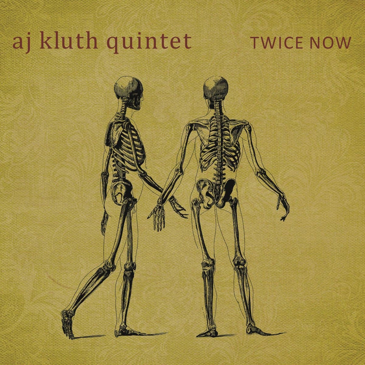 Twice Now [Audio CD] A.J. Kluth; Aj Kluth; Thom Yorke; Chick Corea; Nick Ascher; Stefan Czestochowski and Se�n McCluskey by null