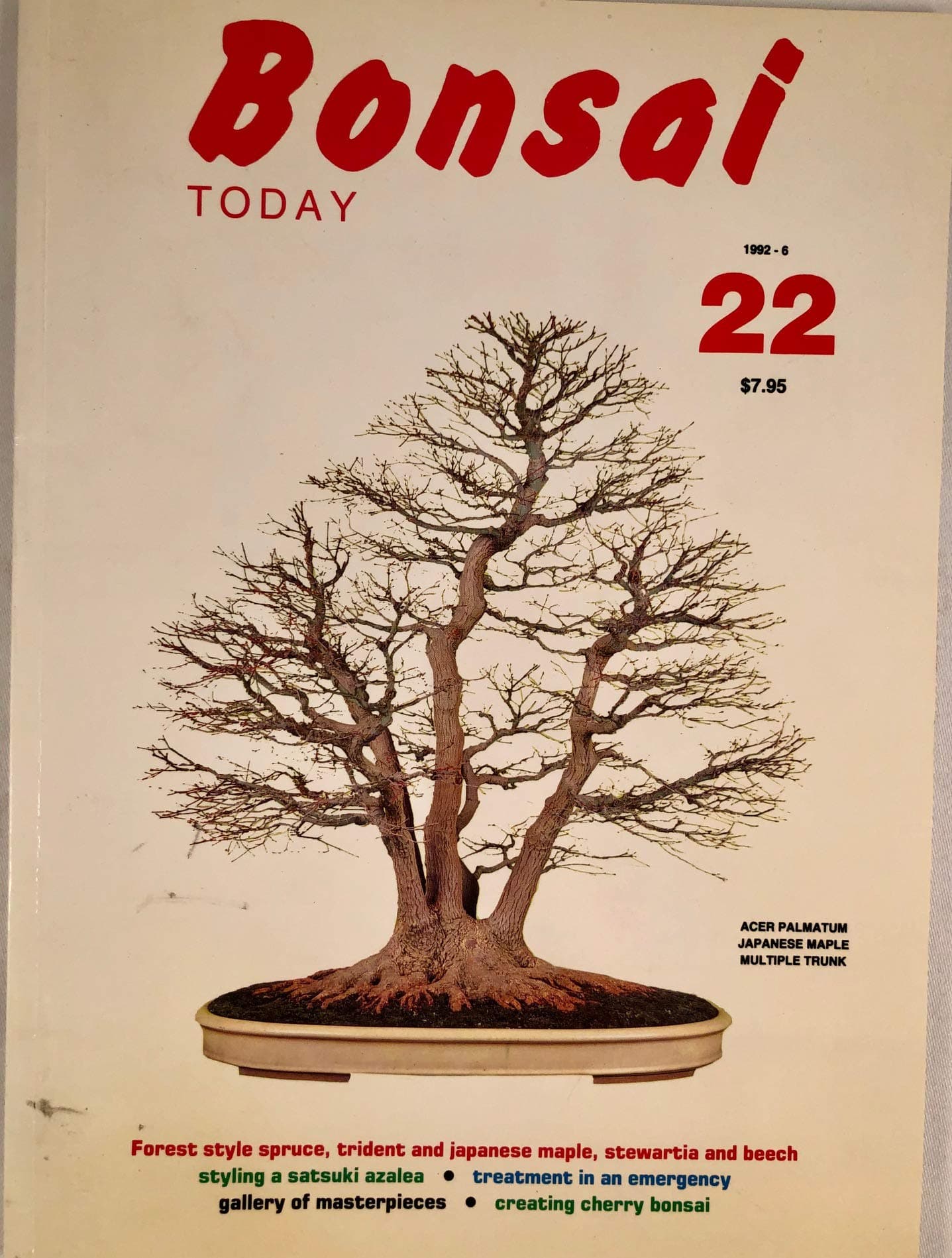 Bonsai Today : #22, Nov.-Dec. 1992 [Paperback] Various by null