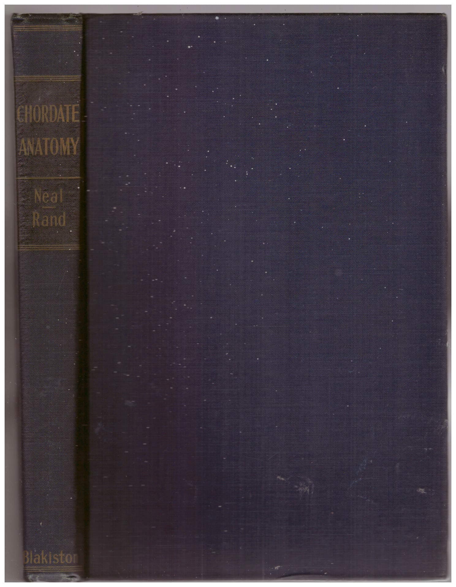 Chordate Anatomy. [Hardcover] Herbert Vincent Neal by null