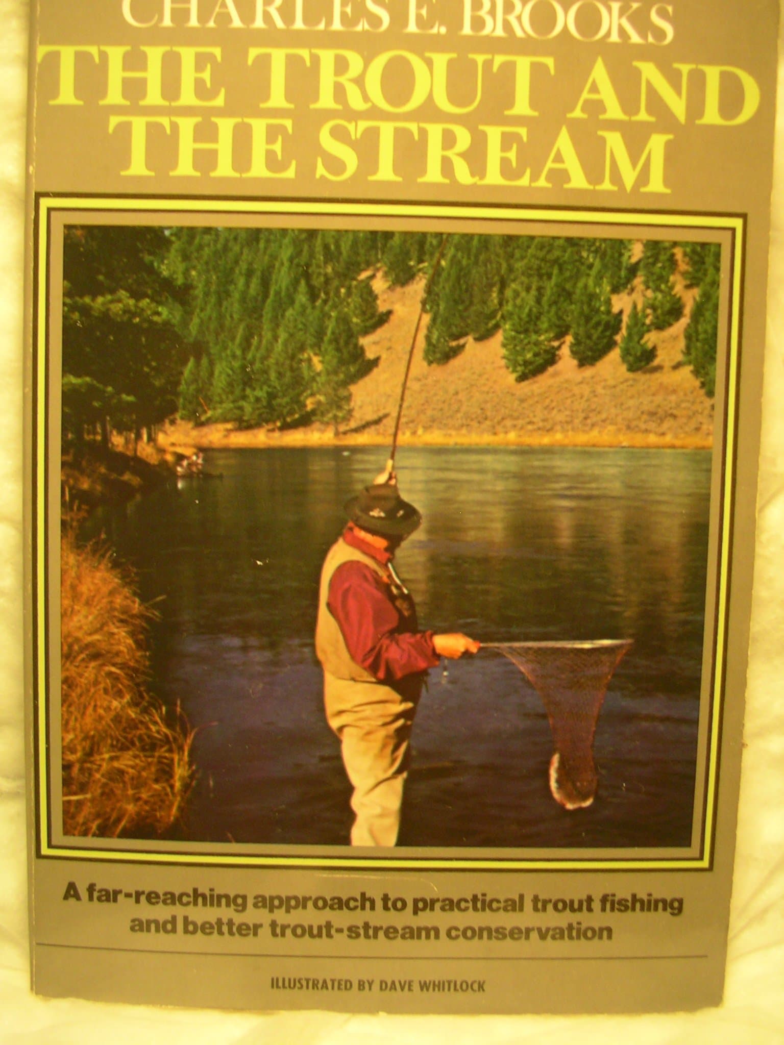 The Trout and the Stream Brooks, Charles E. by null