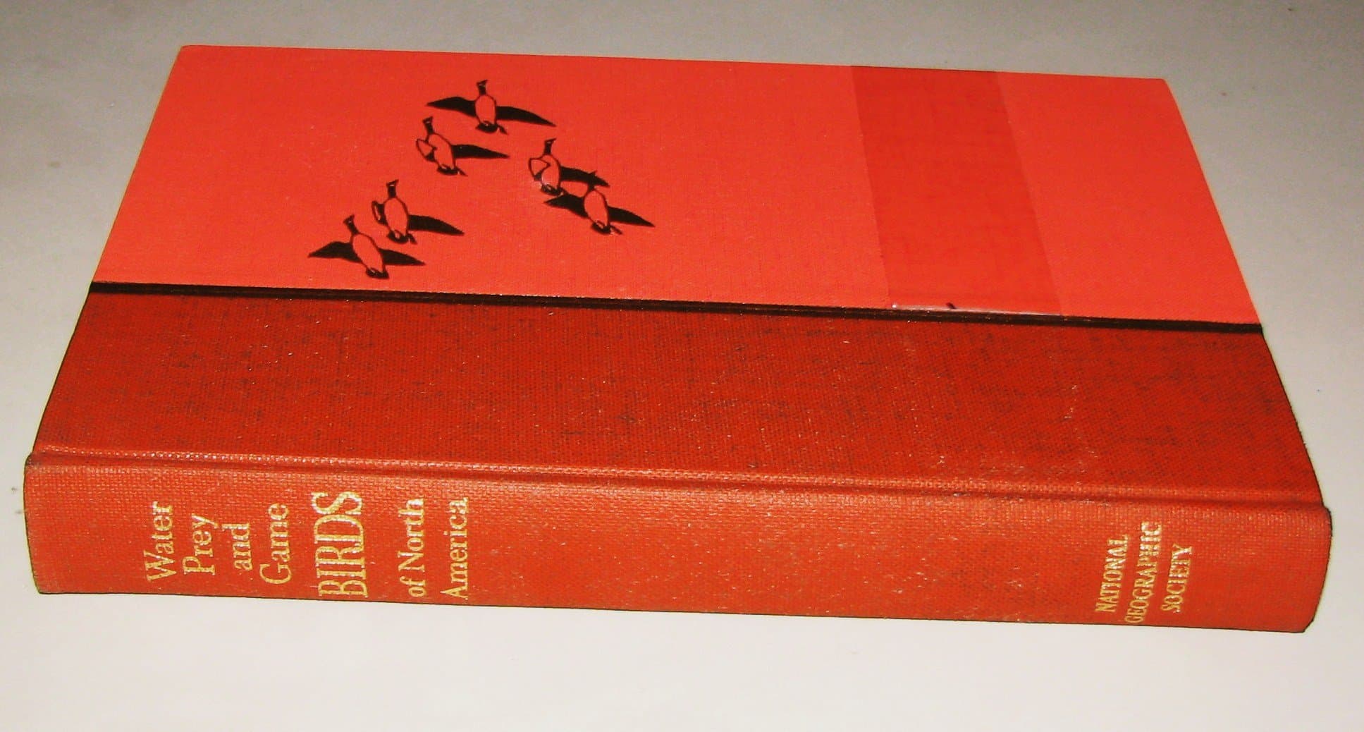 Water, Prey, and Game Birds of North America by Wetmore, Alexander