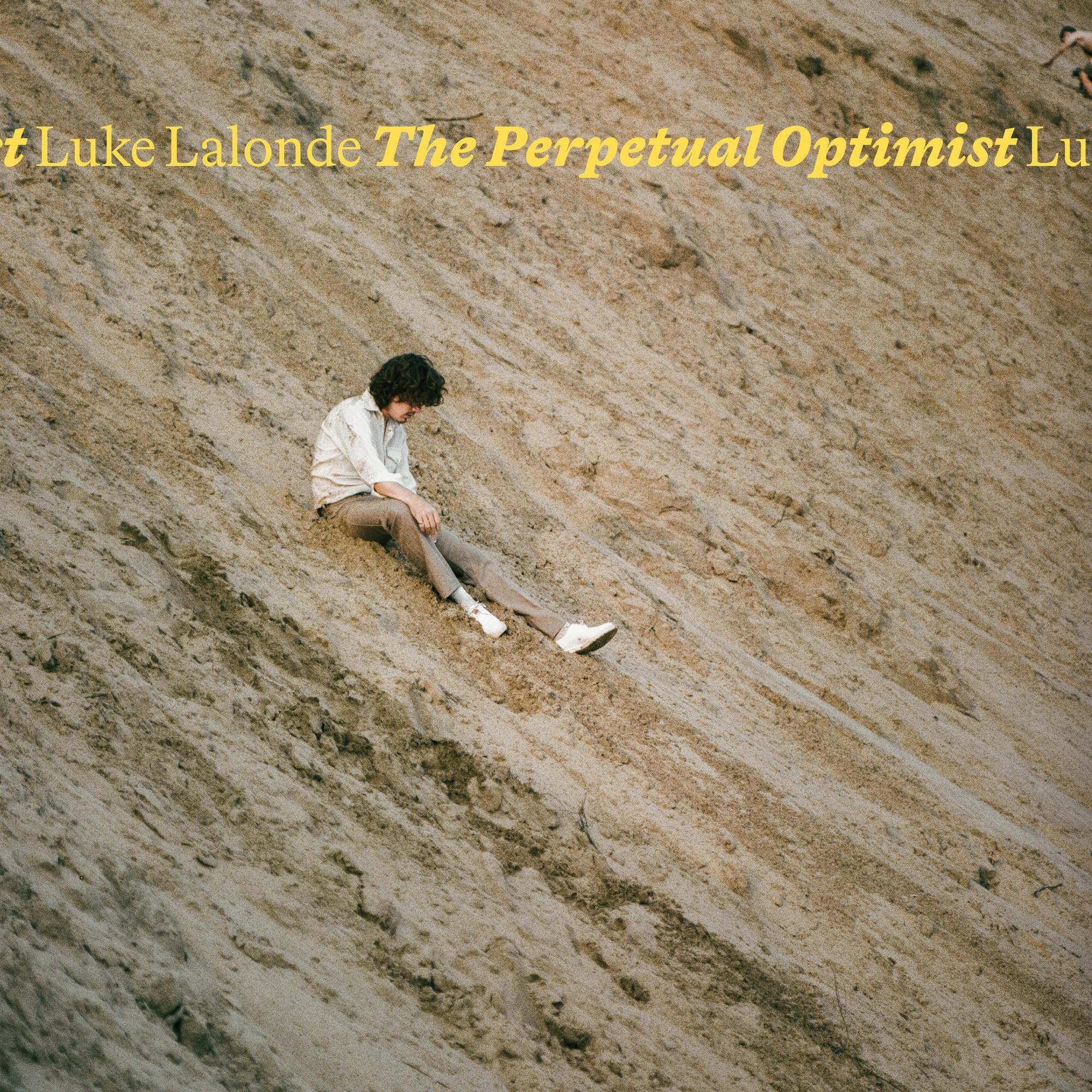 The Perpetual Optimist [Audio CD] Luke Lalonde by null